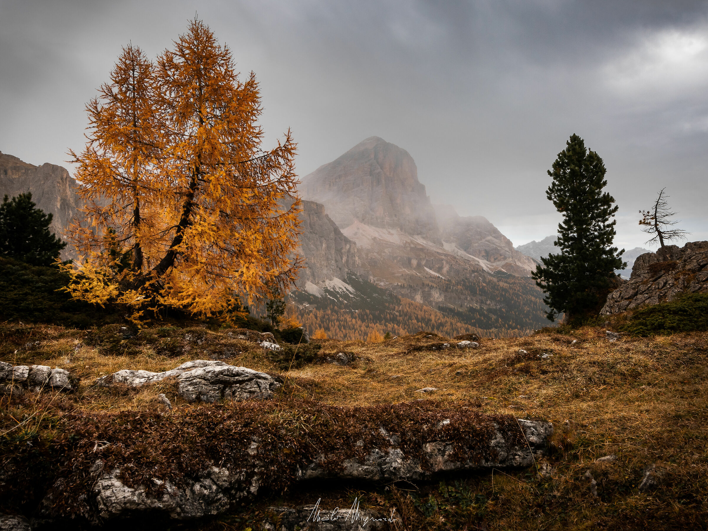 Lo spettacolo dei larici in autunno