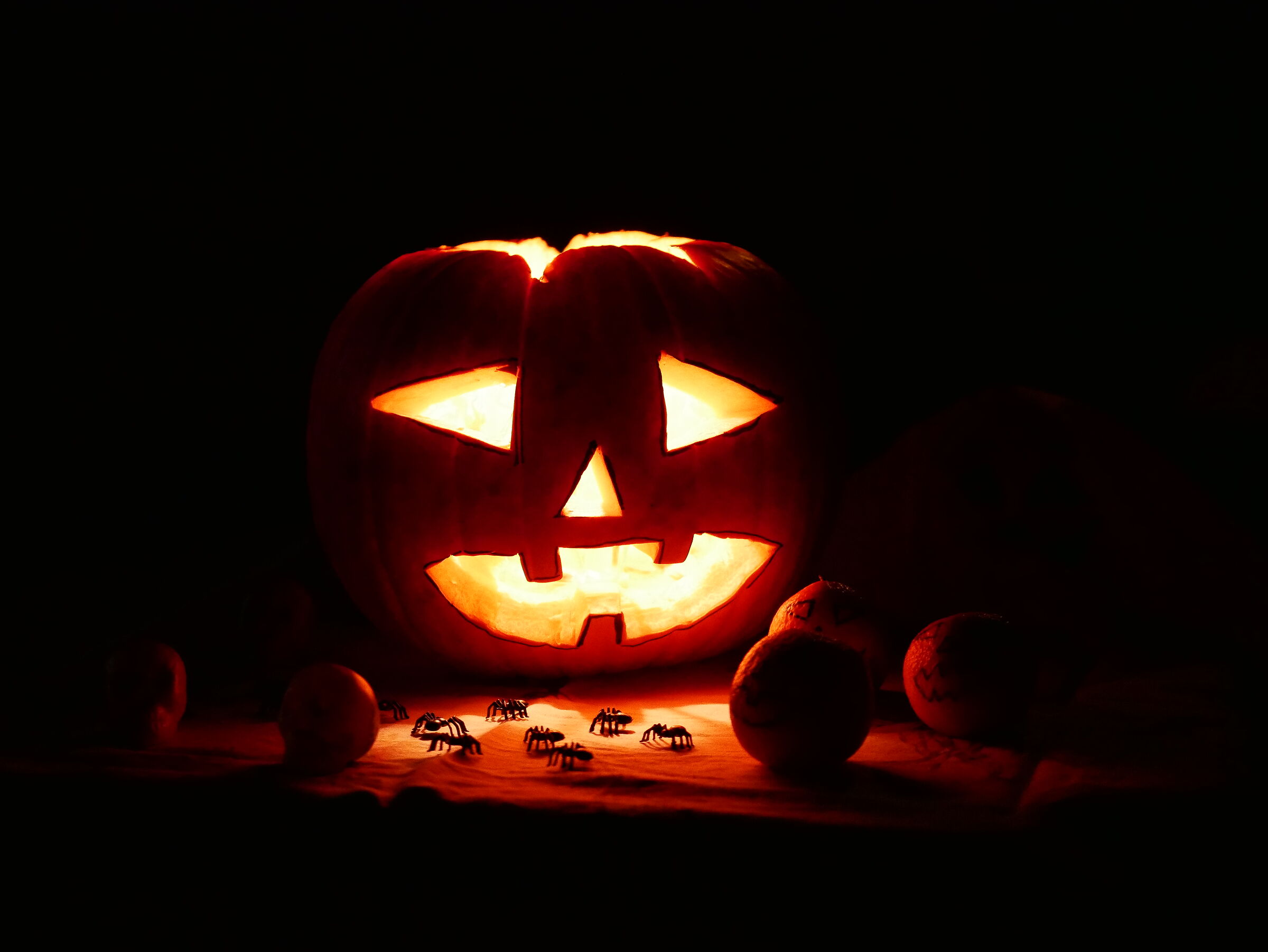 Halloween