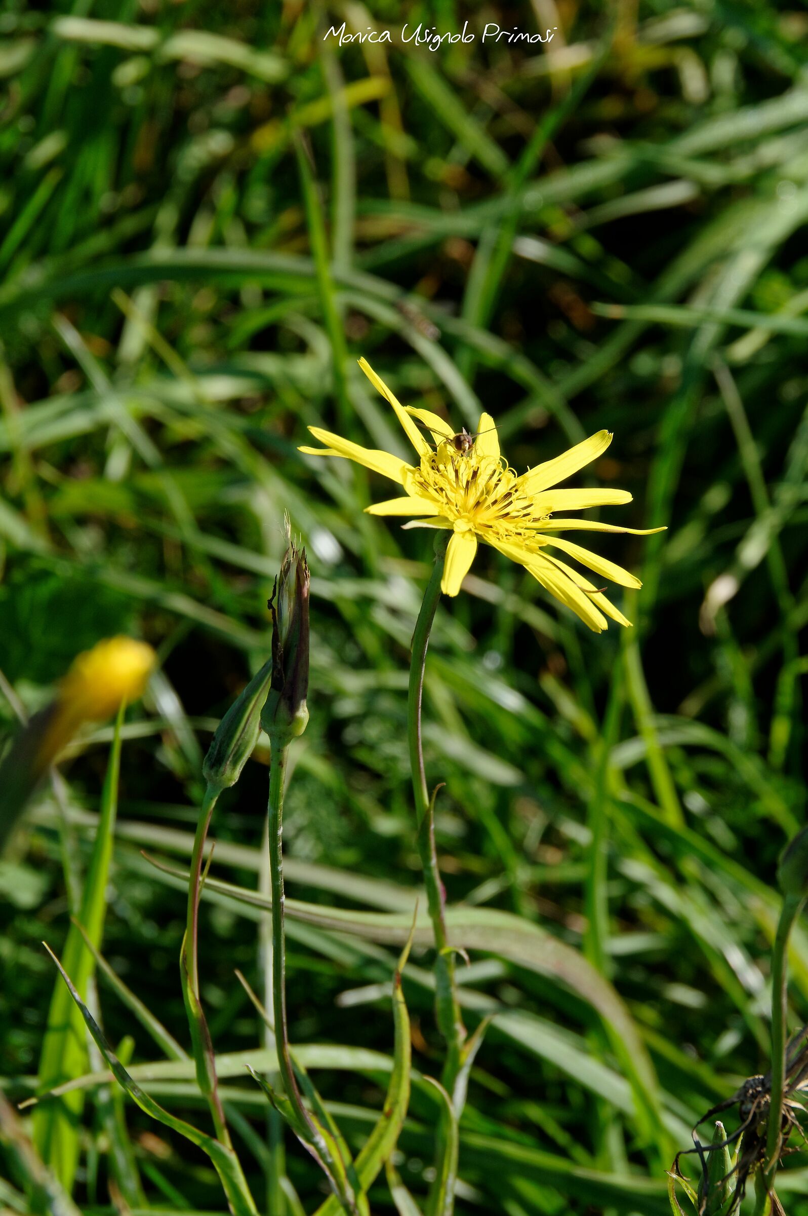 Autunno ma sembra primavera....Lokev Slovenia