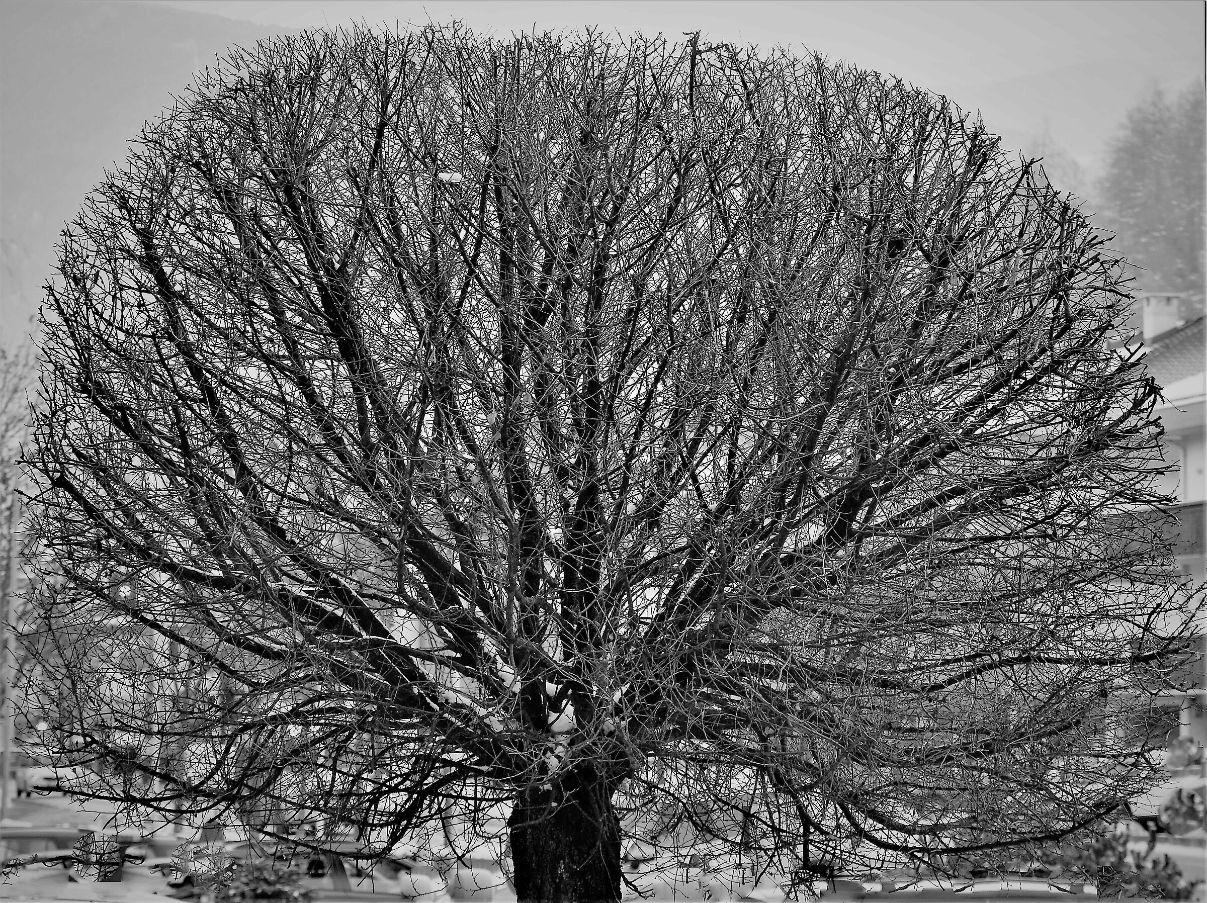 L inverno e' alle porte... la natura si prepara