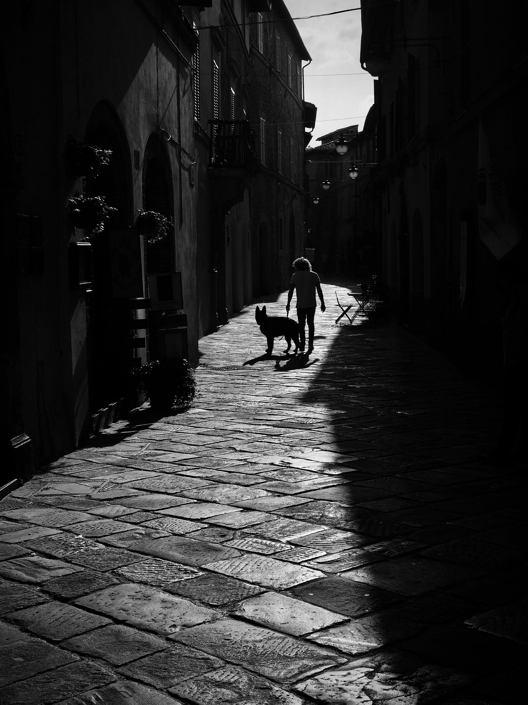 A spasso con il cane