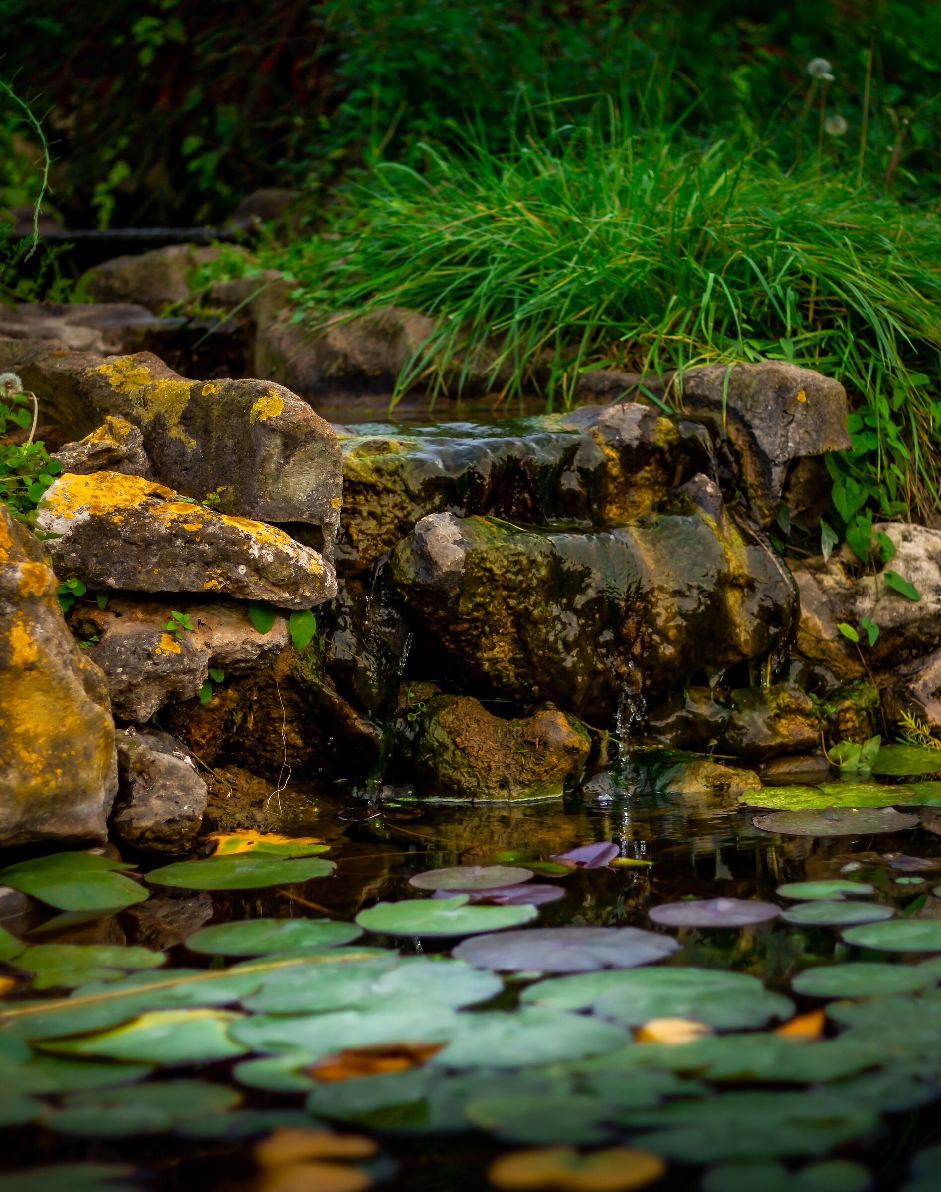 cascata......molto minuta