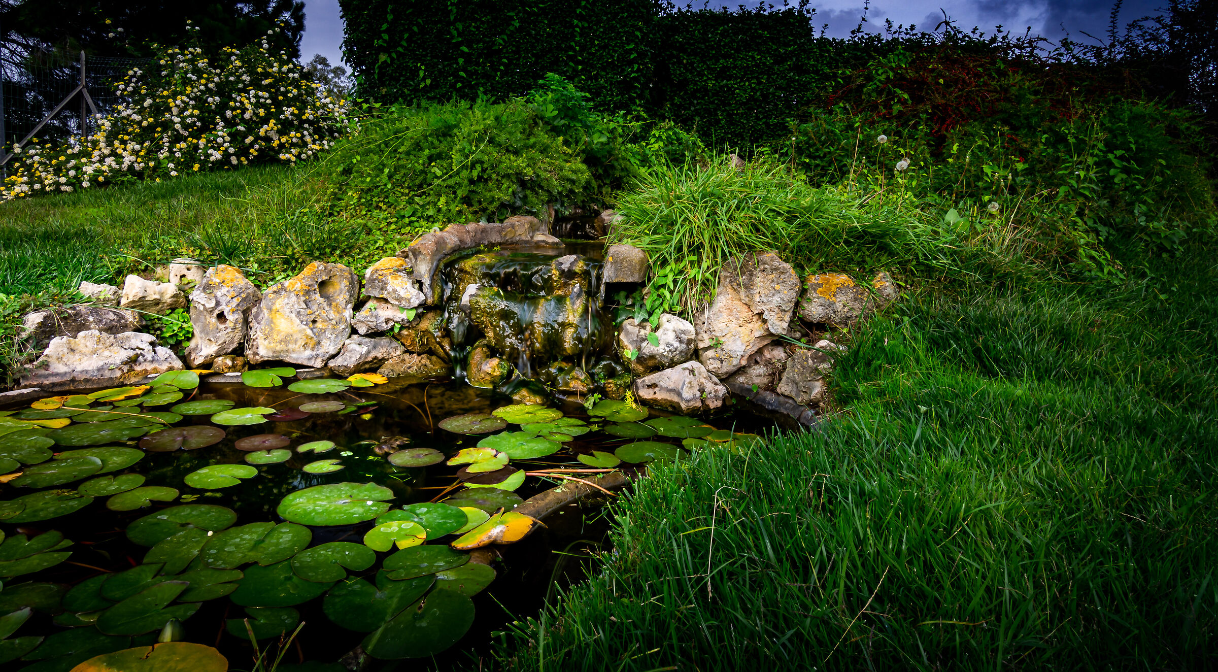 laghetto .....minuto anche questo