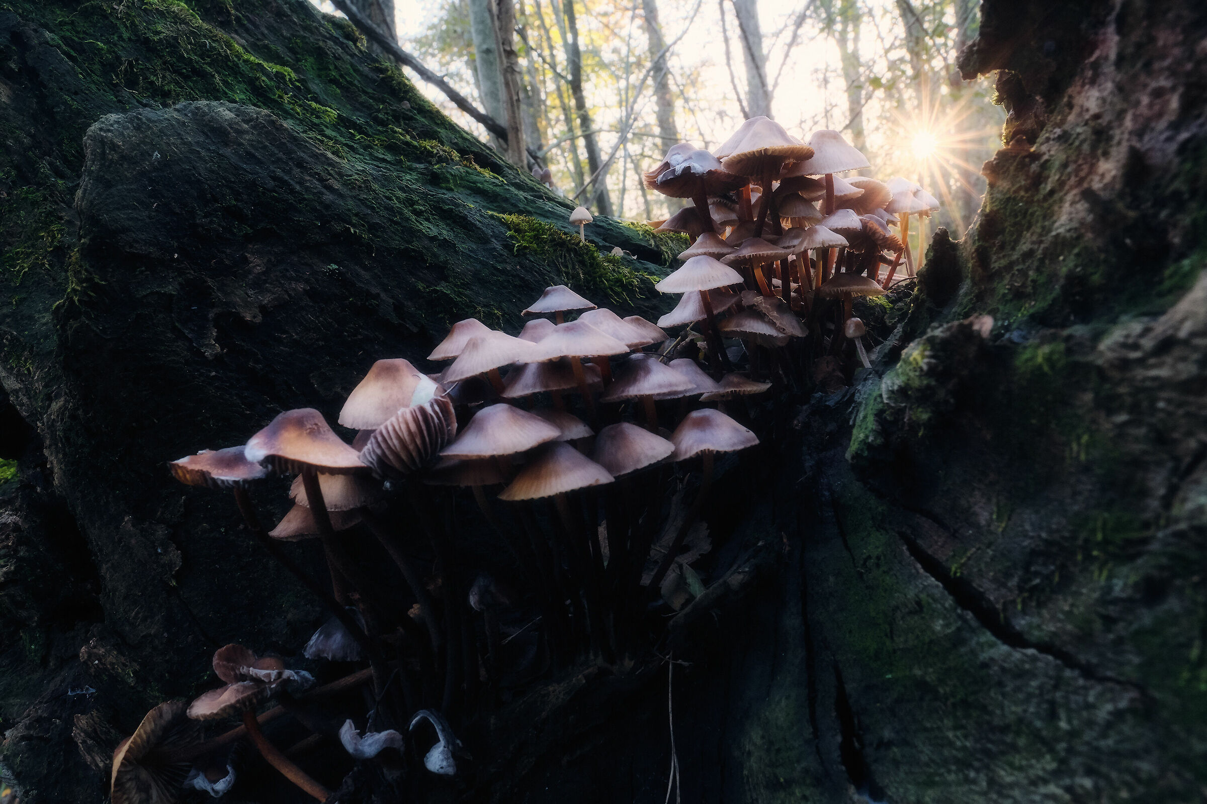 Autunno, dopo la pioggia.