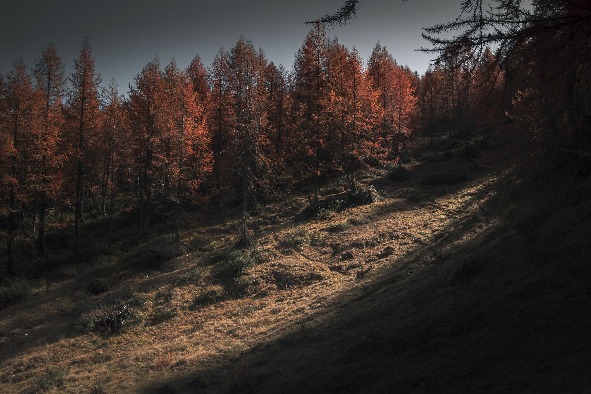 Luci e ombre al Devero