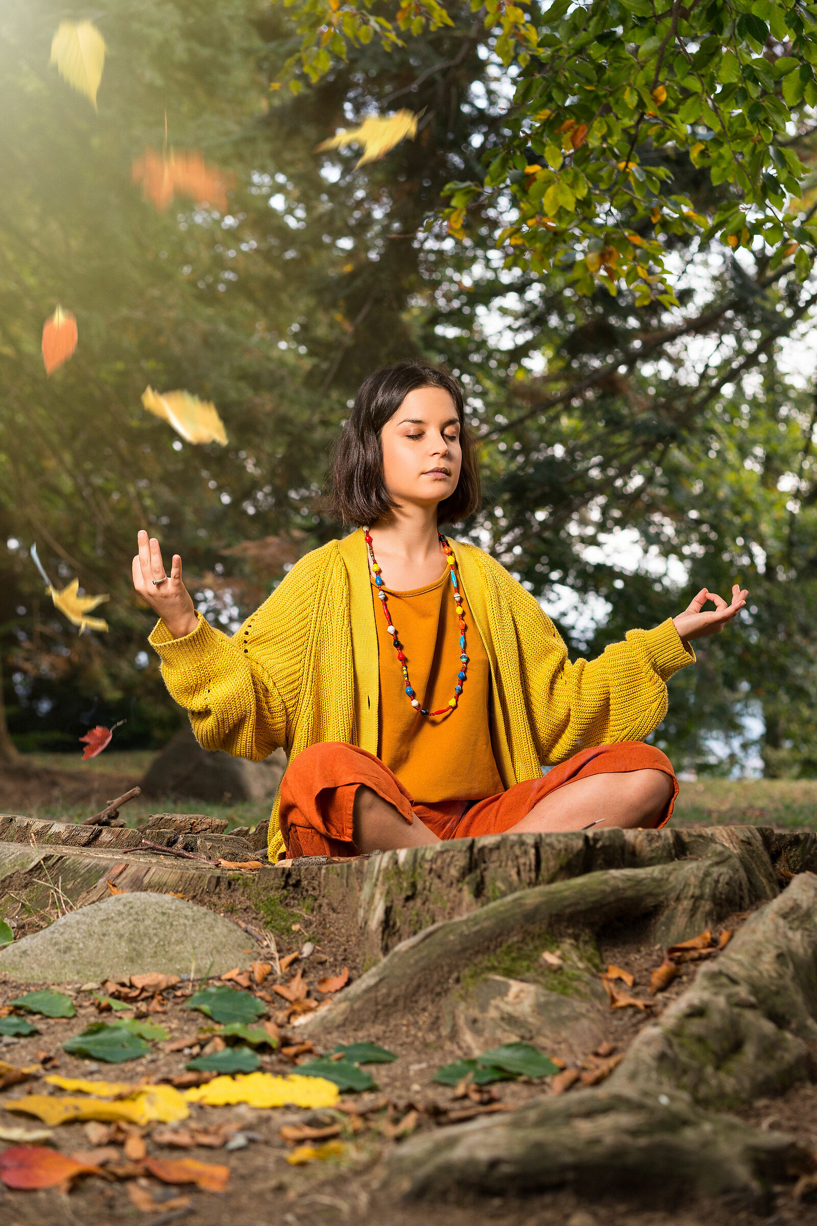 Meditation in the foliage
