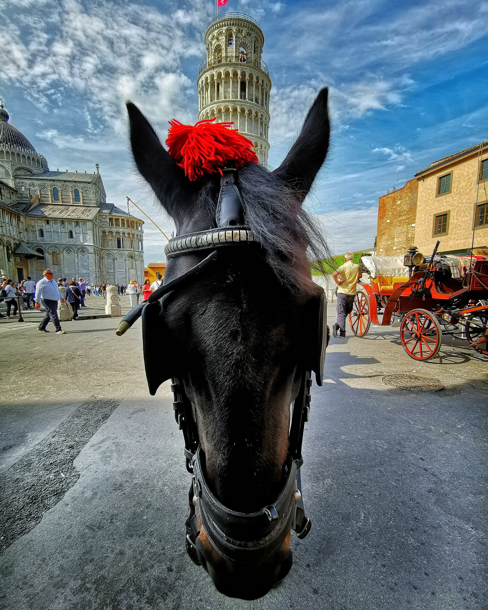 Black Horse Eats White Tower