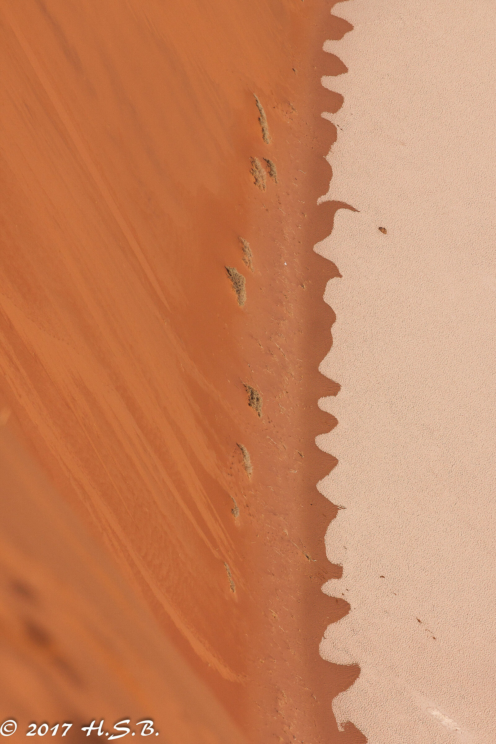 Where the duna meets the pan