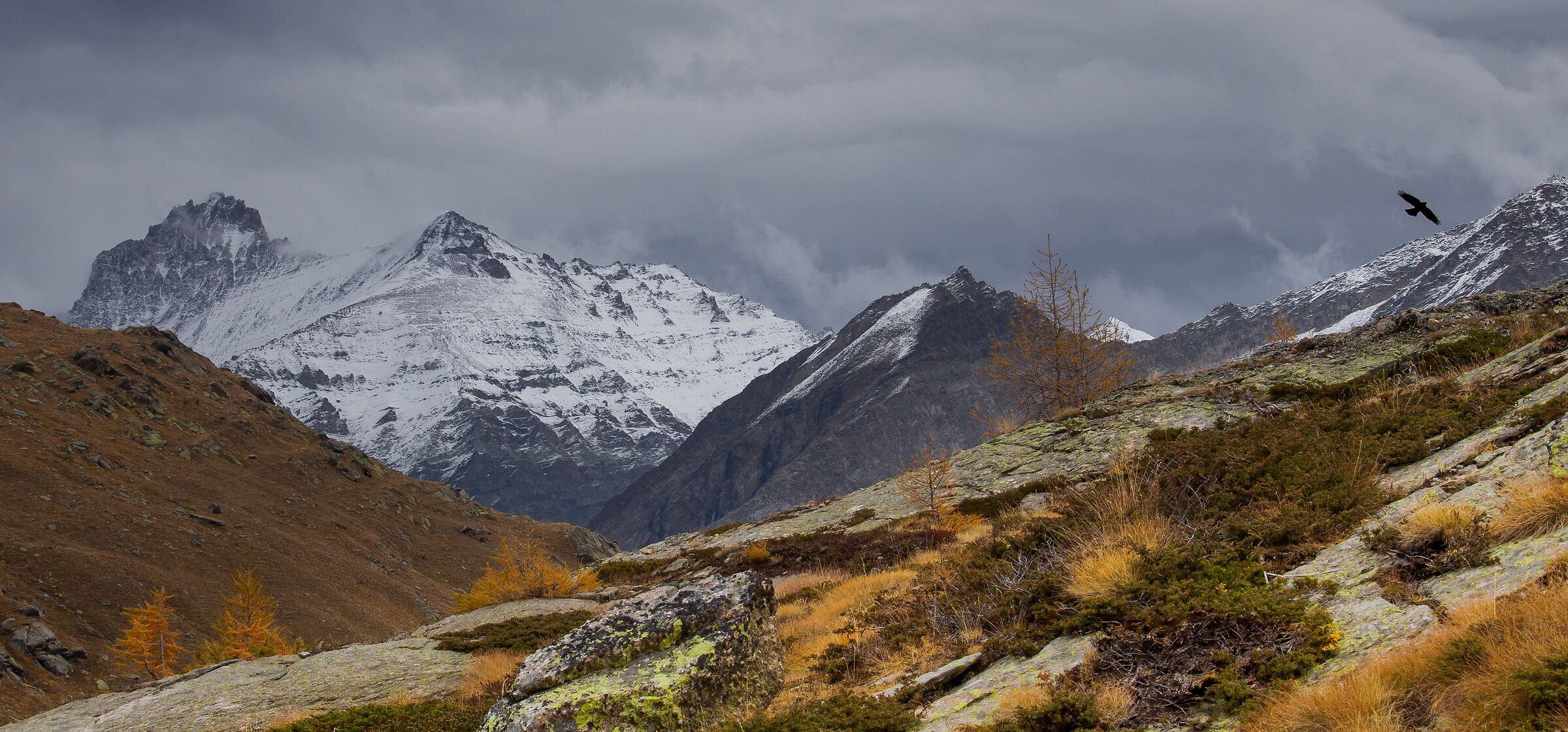 il padrone della valle