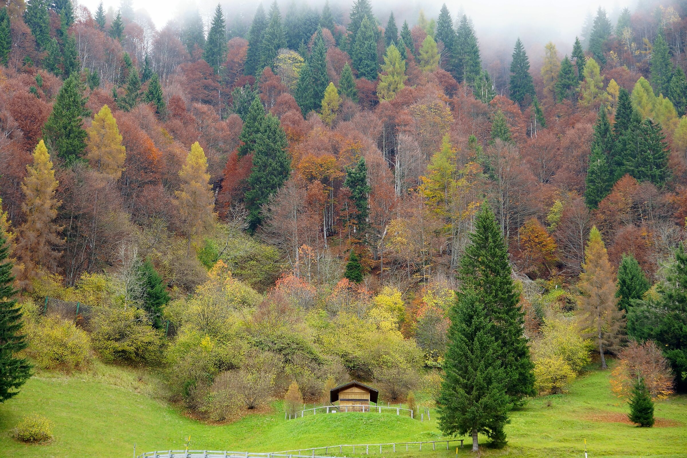 l' autunno sta avanzando