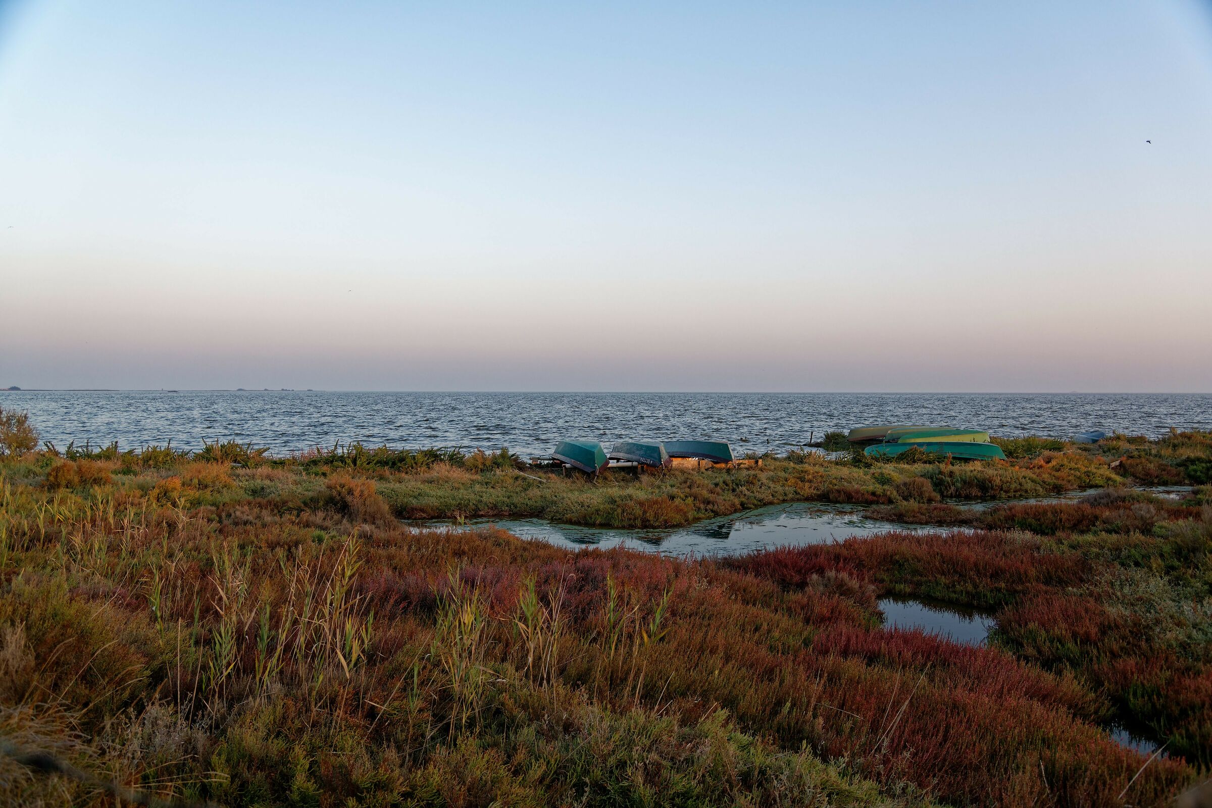 Laguna di Comacchio