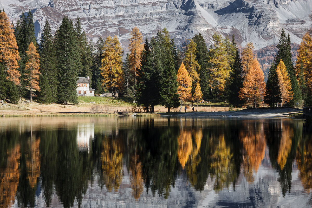 Larici and Brenta ...