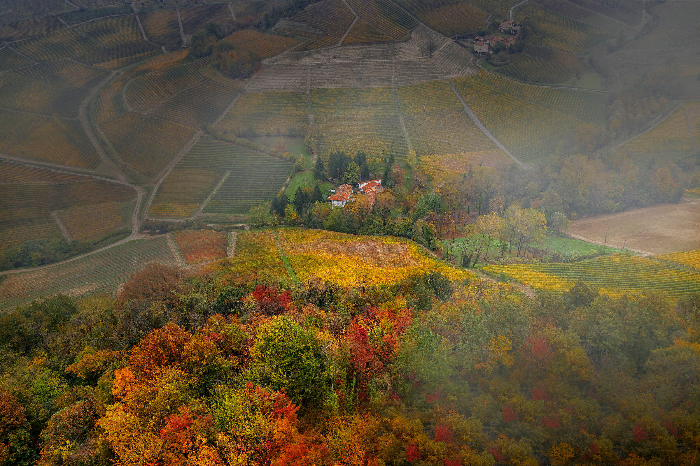 Autunno nelle Langhe