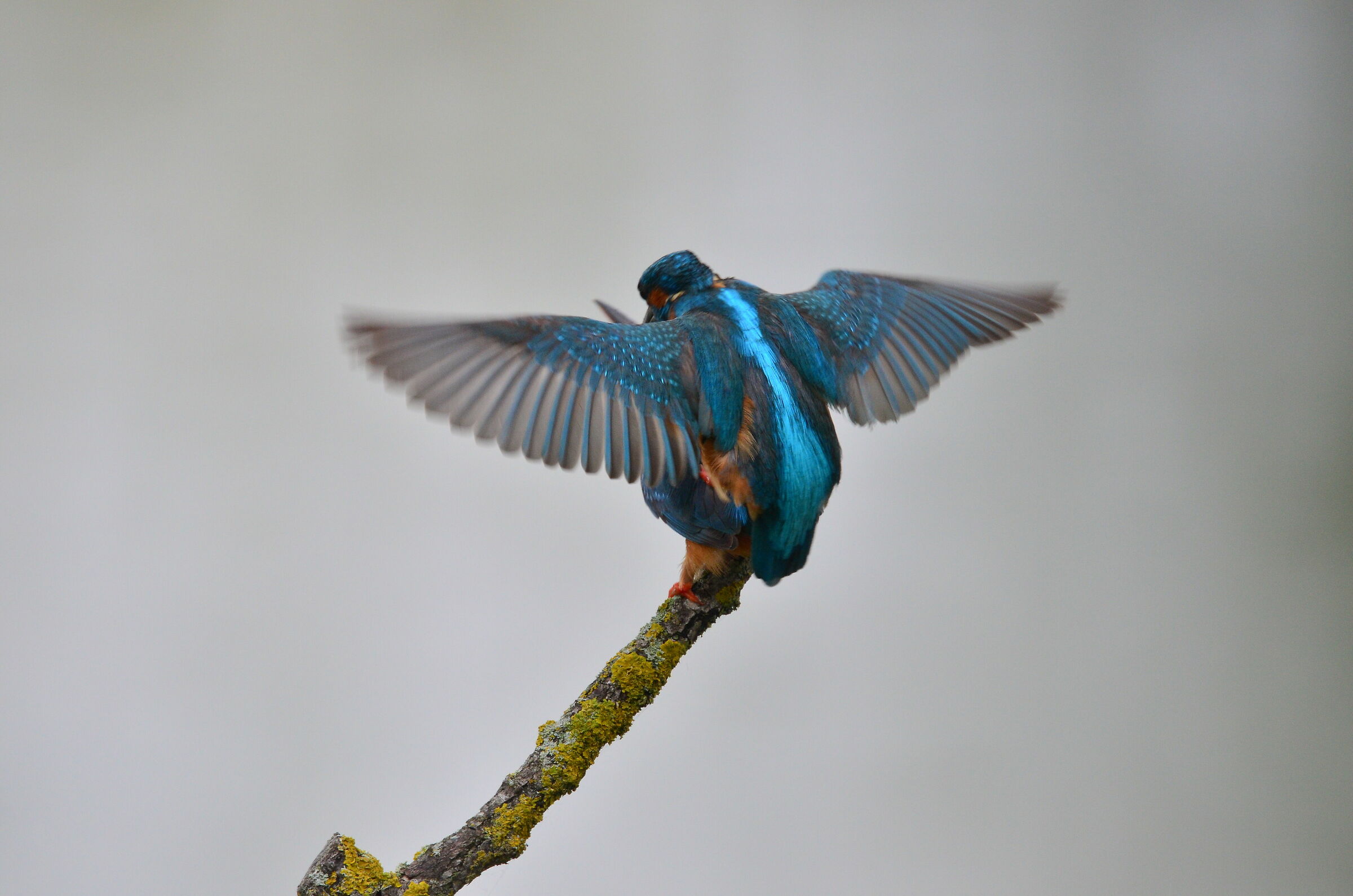 Hot moments in the rain