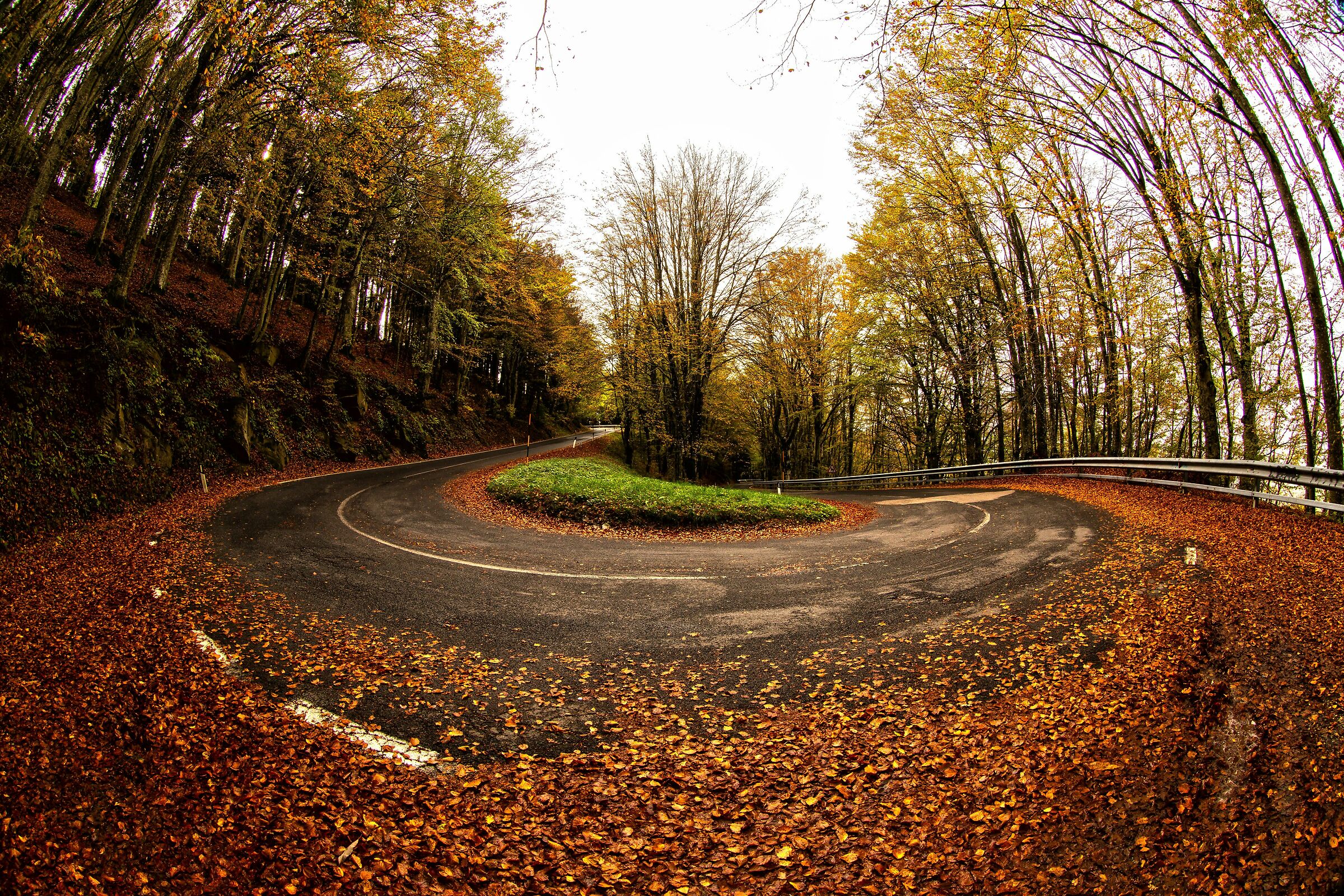 Italian Roads (autumn)