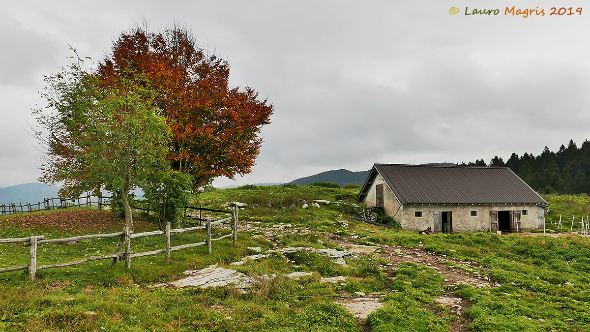 Convivenza cromatica