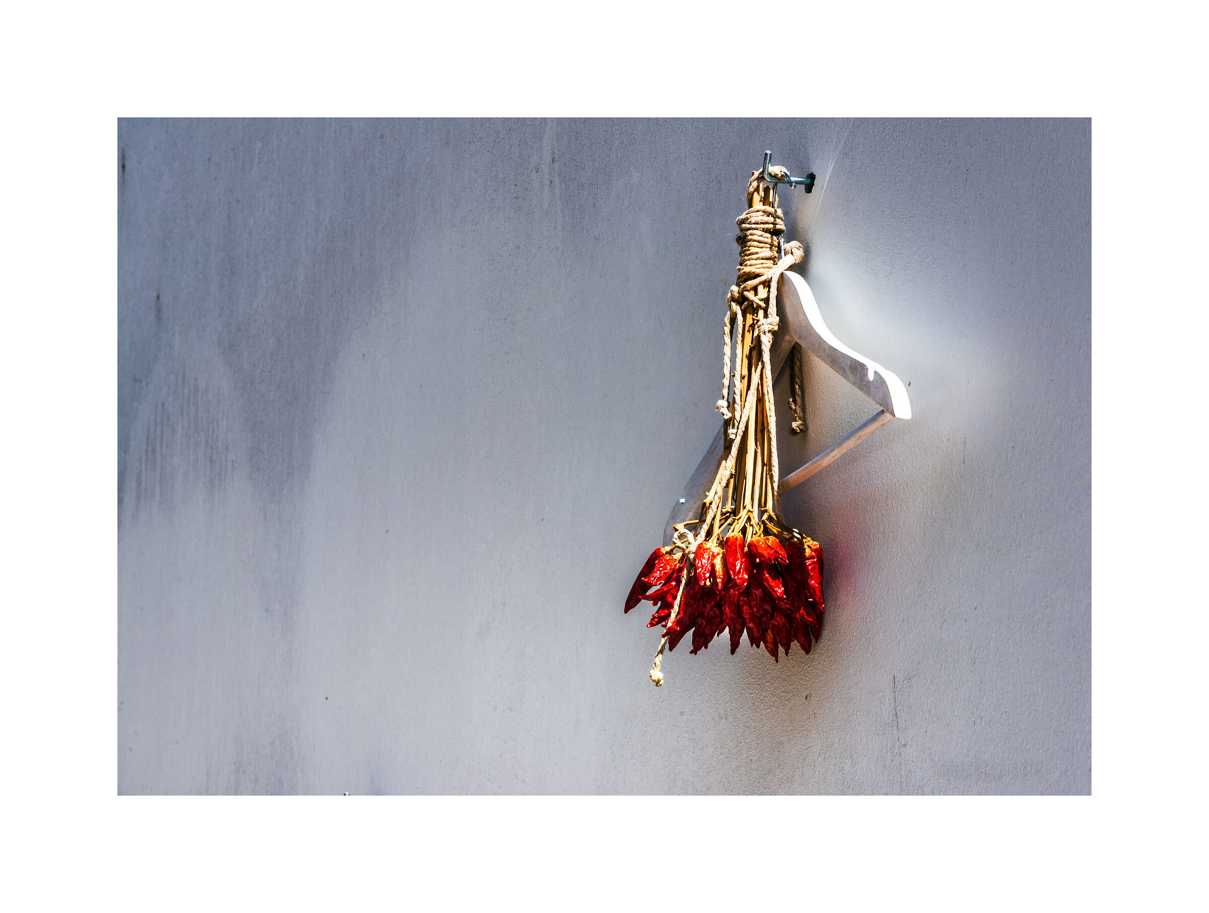 The Light of the South