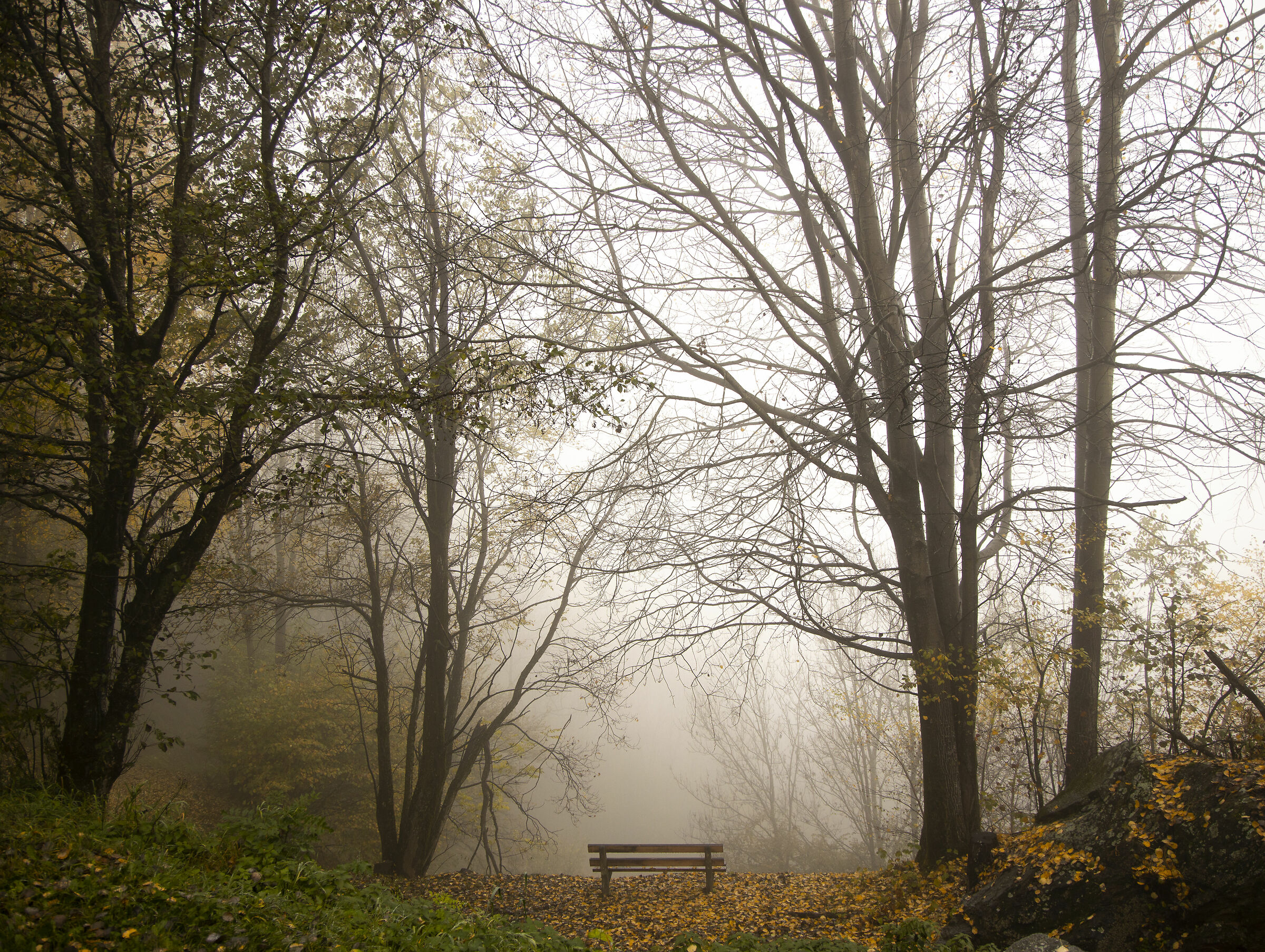 Autumn in the valley