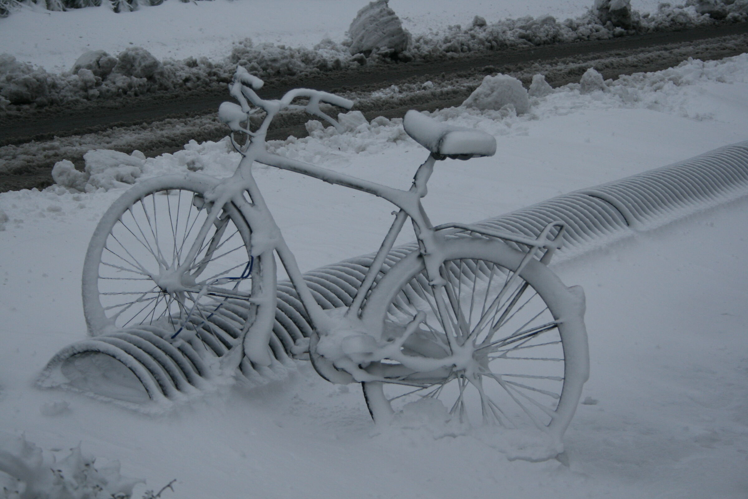 Today I don't want to go out