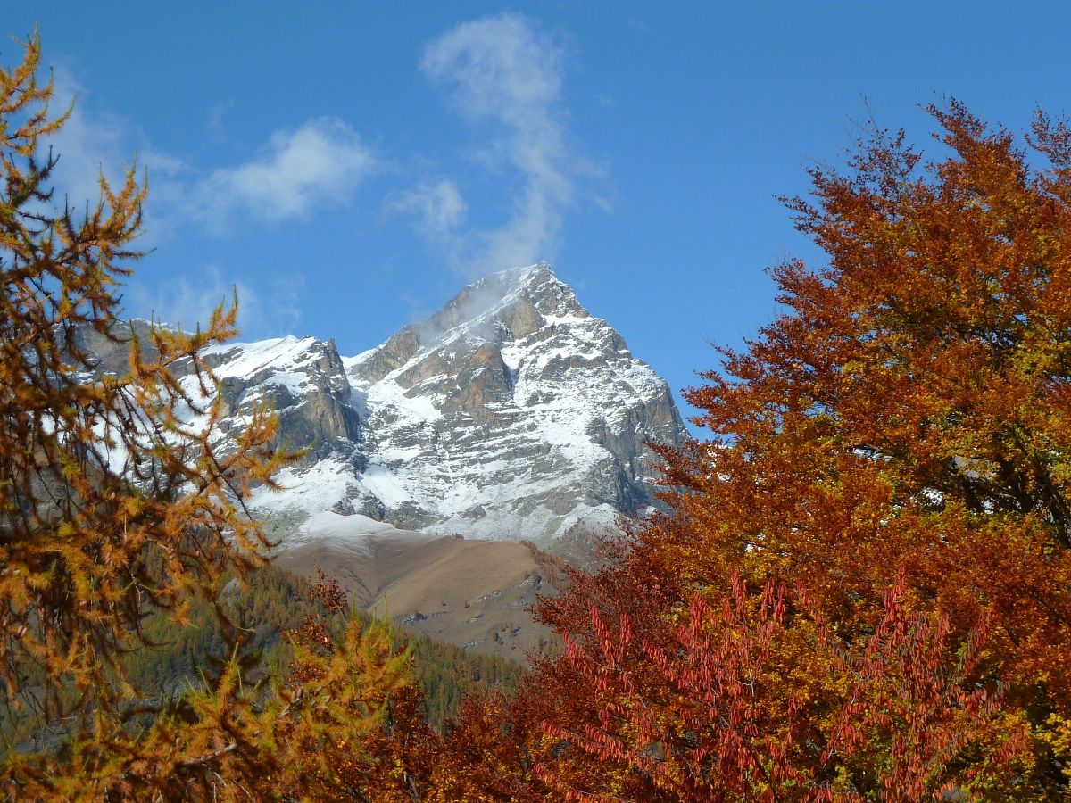 il gigante tra gli alberi d'autunno