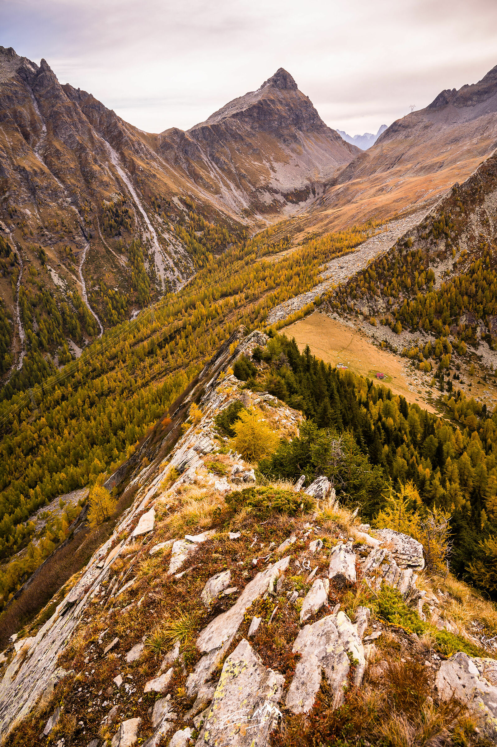 Autumn
