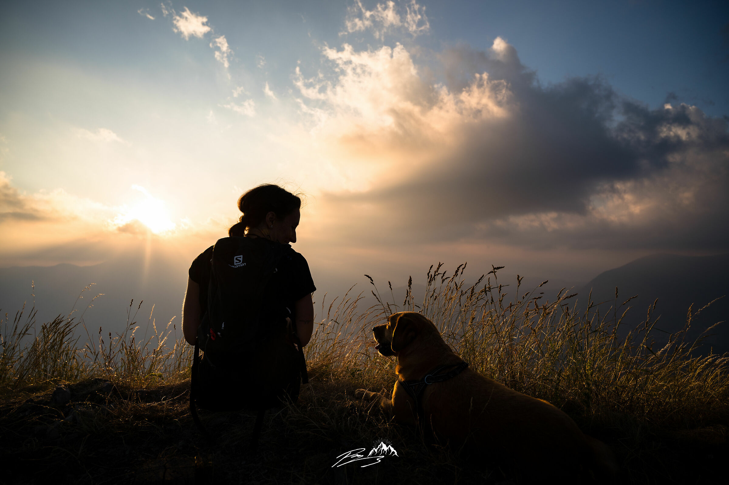 Admiring the Sunset