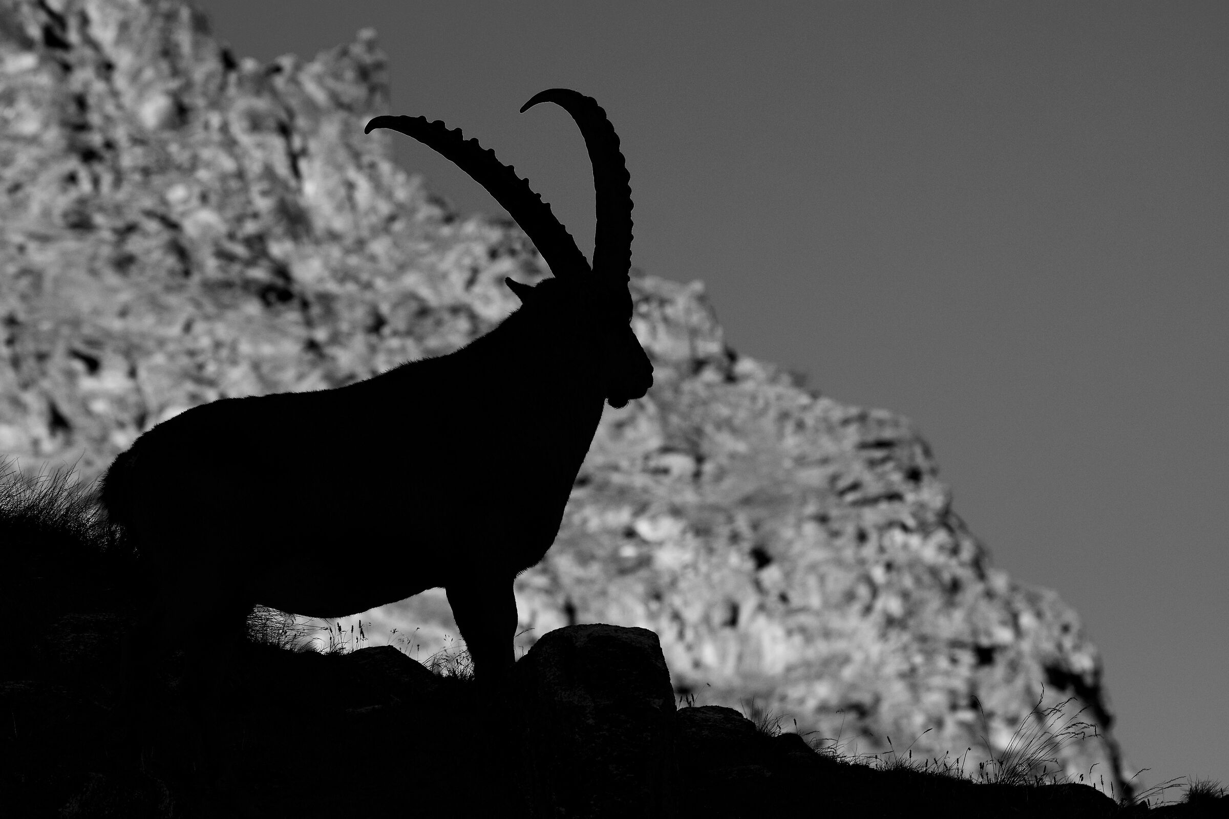 Unmistakable silhouettes