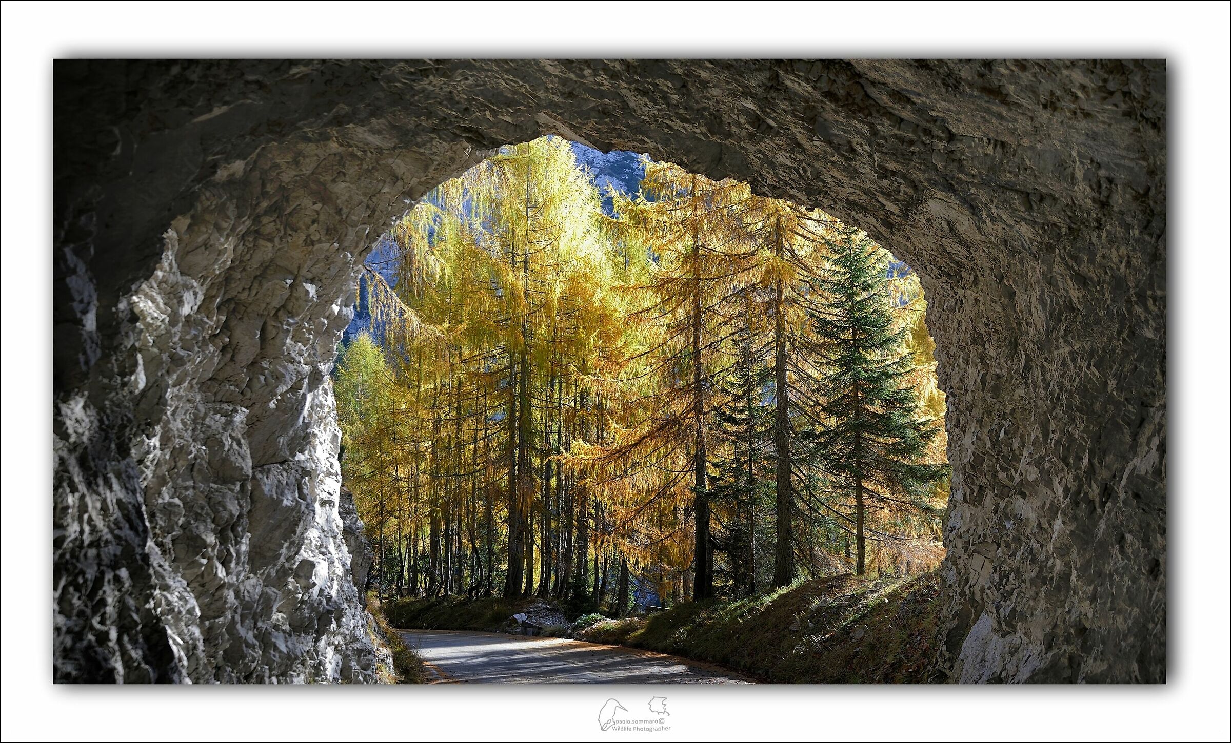 The "exposed" tunnels of the Mangart road...