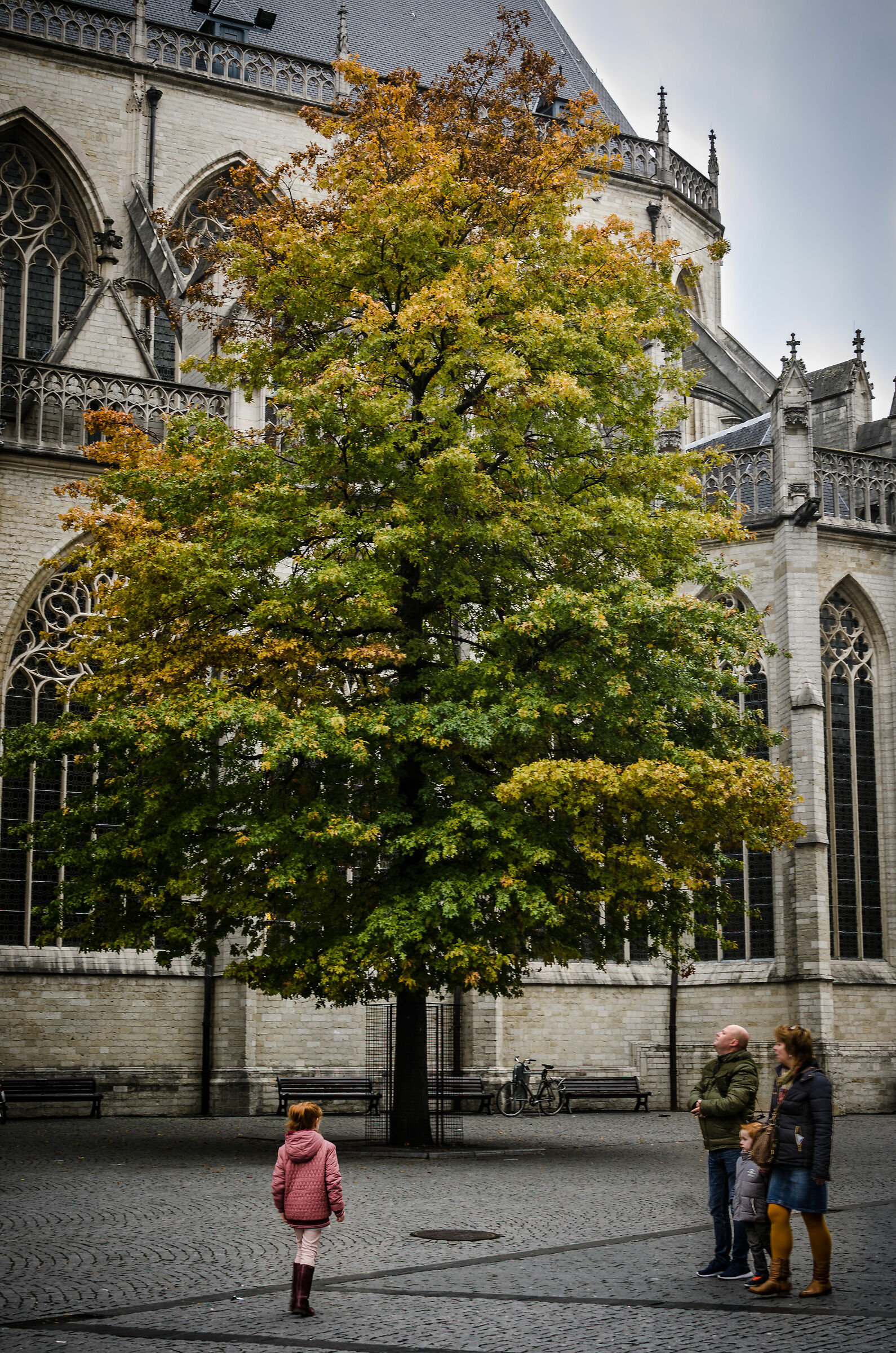 Families in contemplation