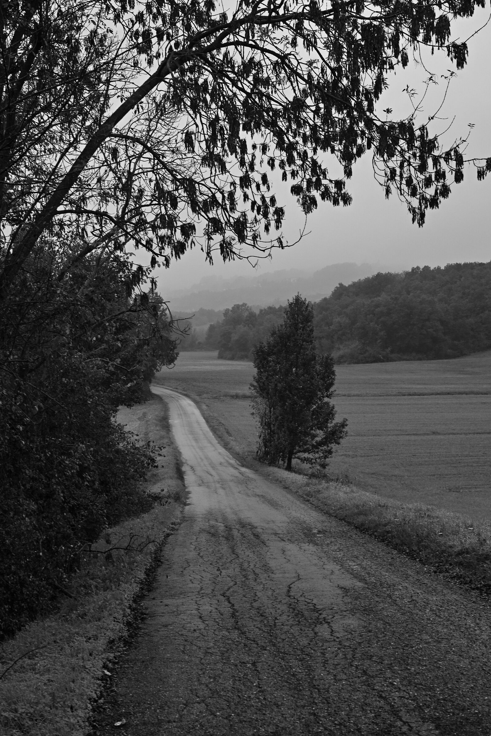 La strada di campagna