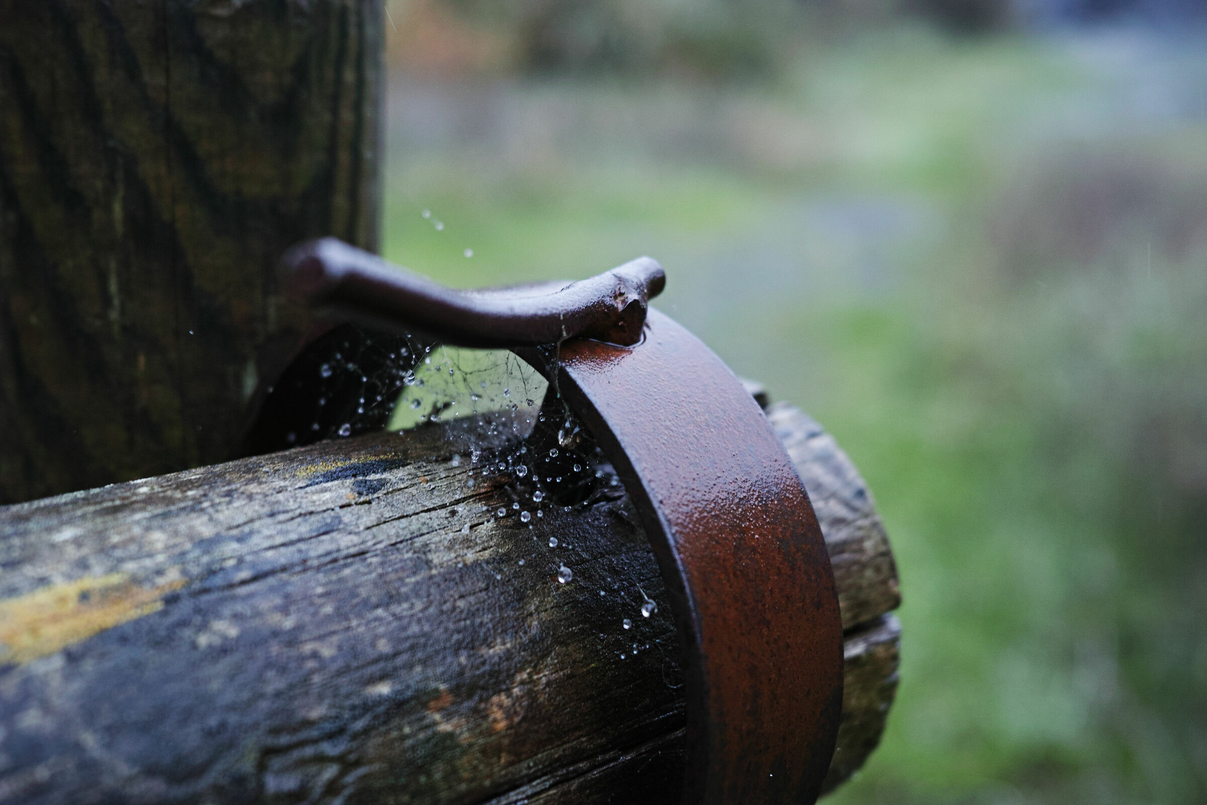 Quando piove in campagna