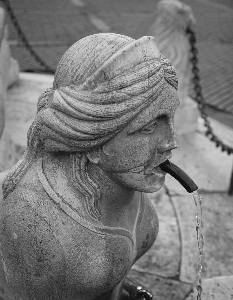 bergamo alta - the fountain (detail)