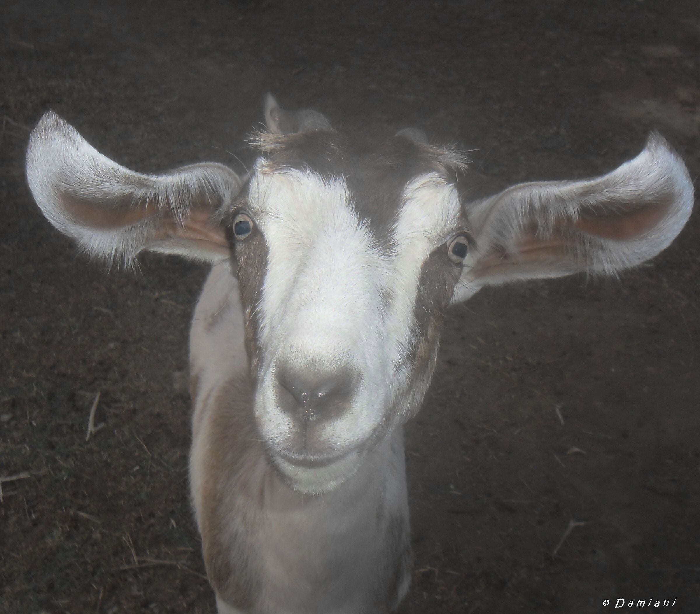 Look... I also have a Soul!