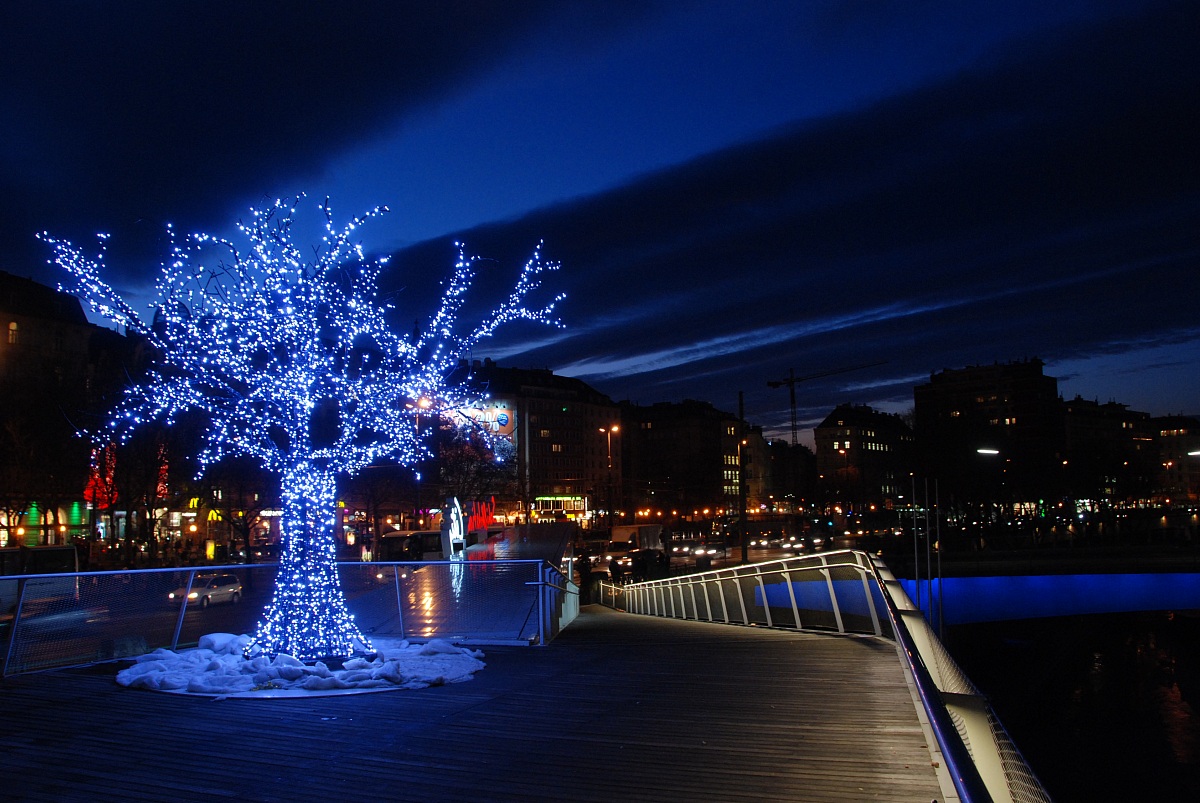 Vienna_danubio_by_night