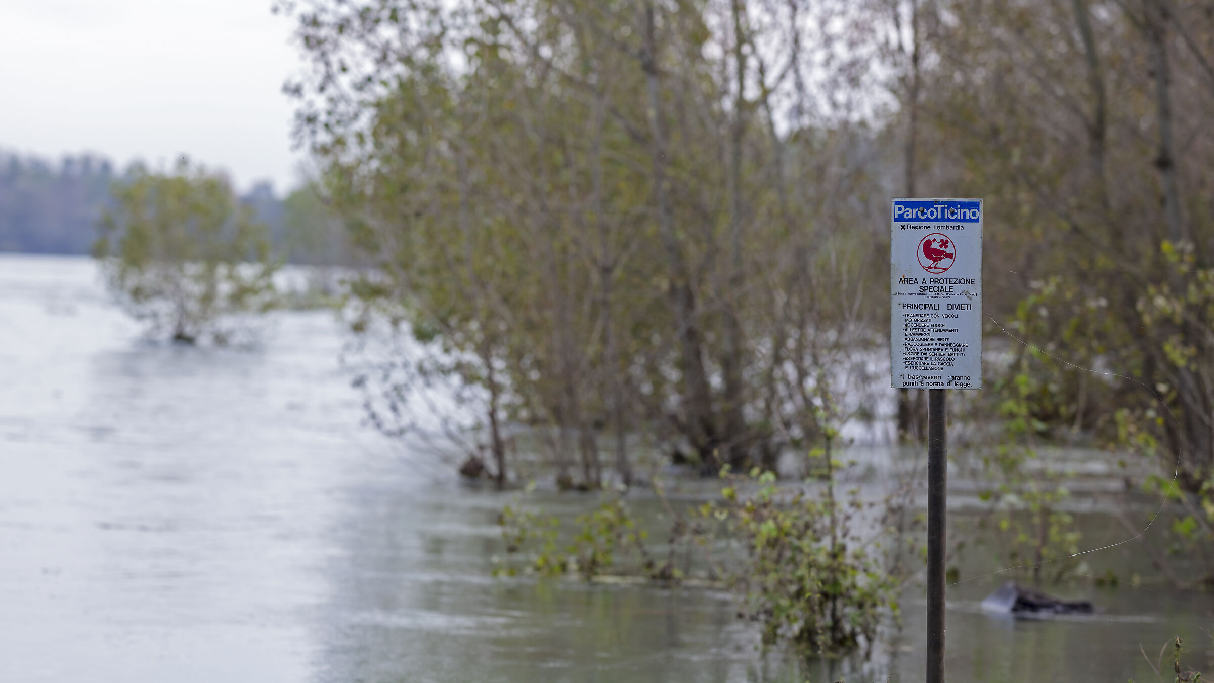 Manca il divieto per l'acqua !!!!!!!!!!!!