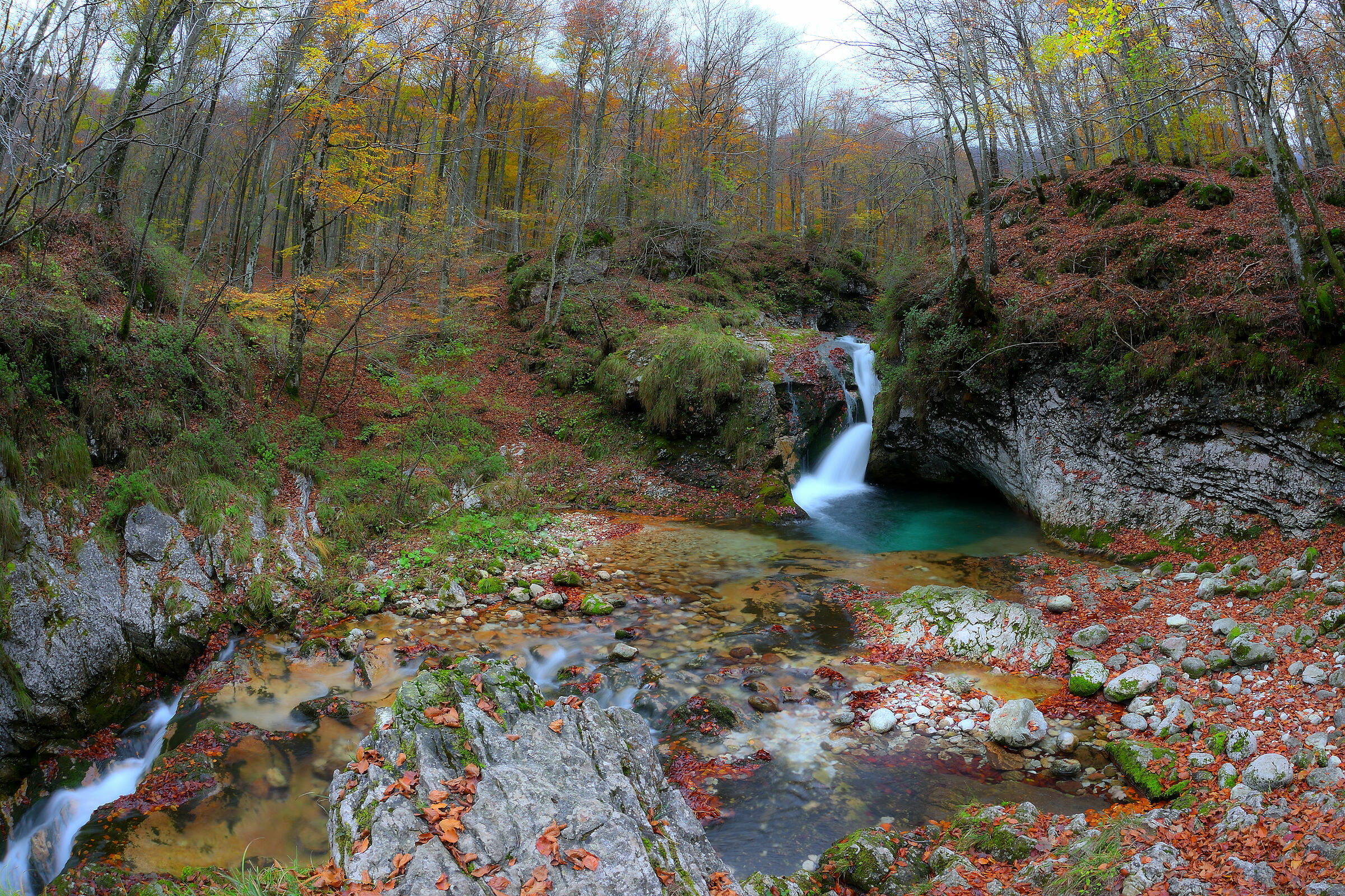 The jumps of the Arzino (UD)
