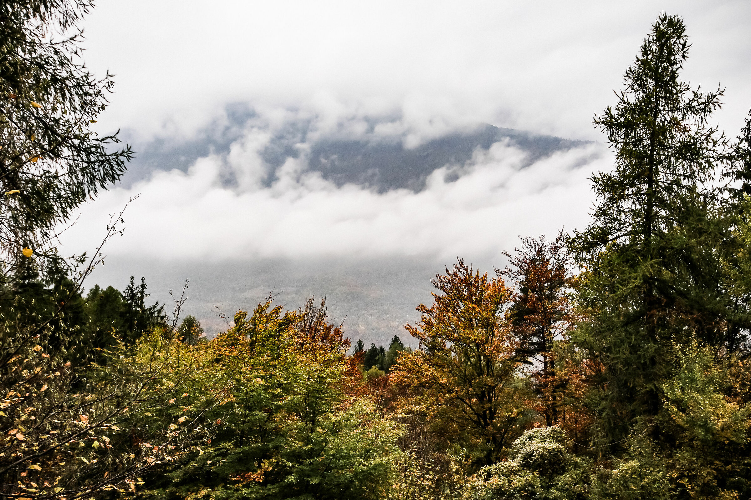 Panorama da spormaggiore