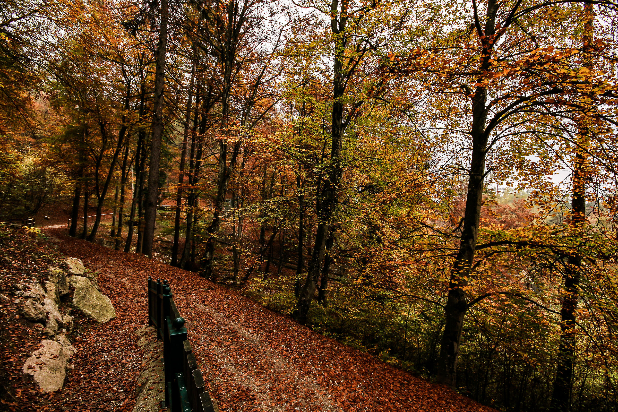 Parco Faunistico Spormaggiore
