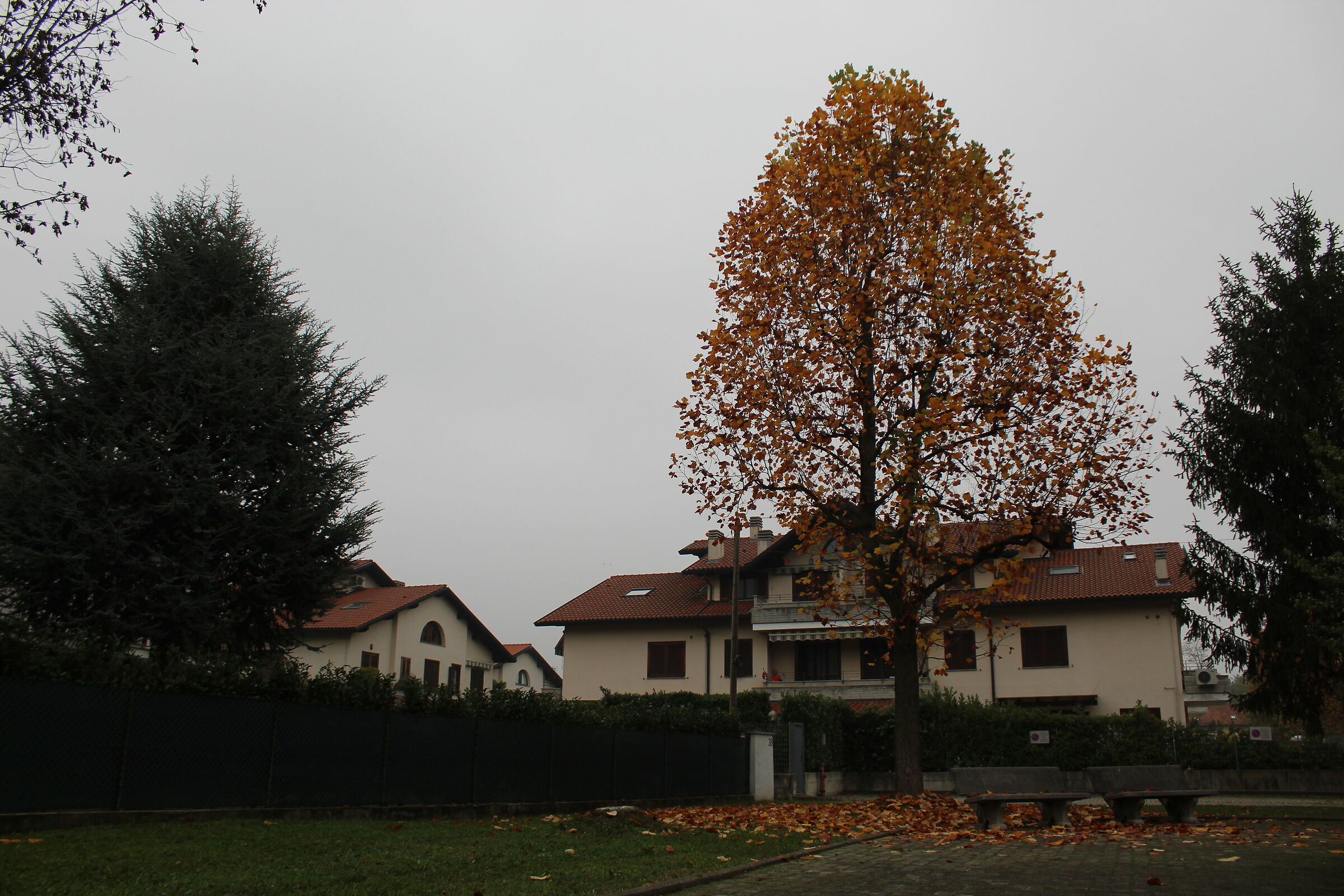 Autunno