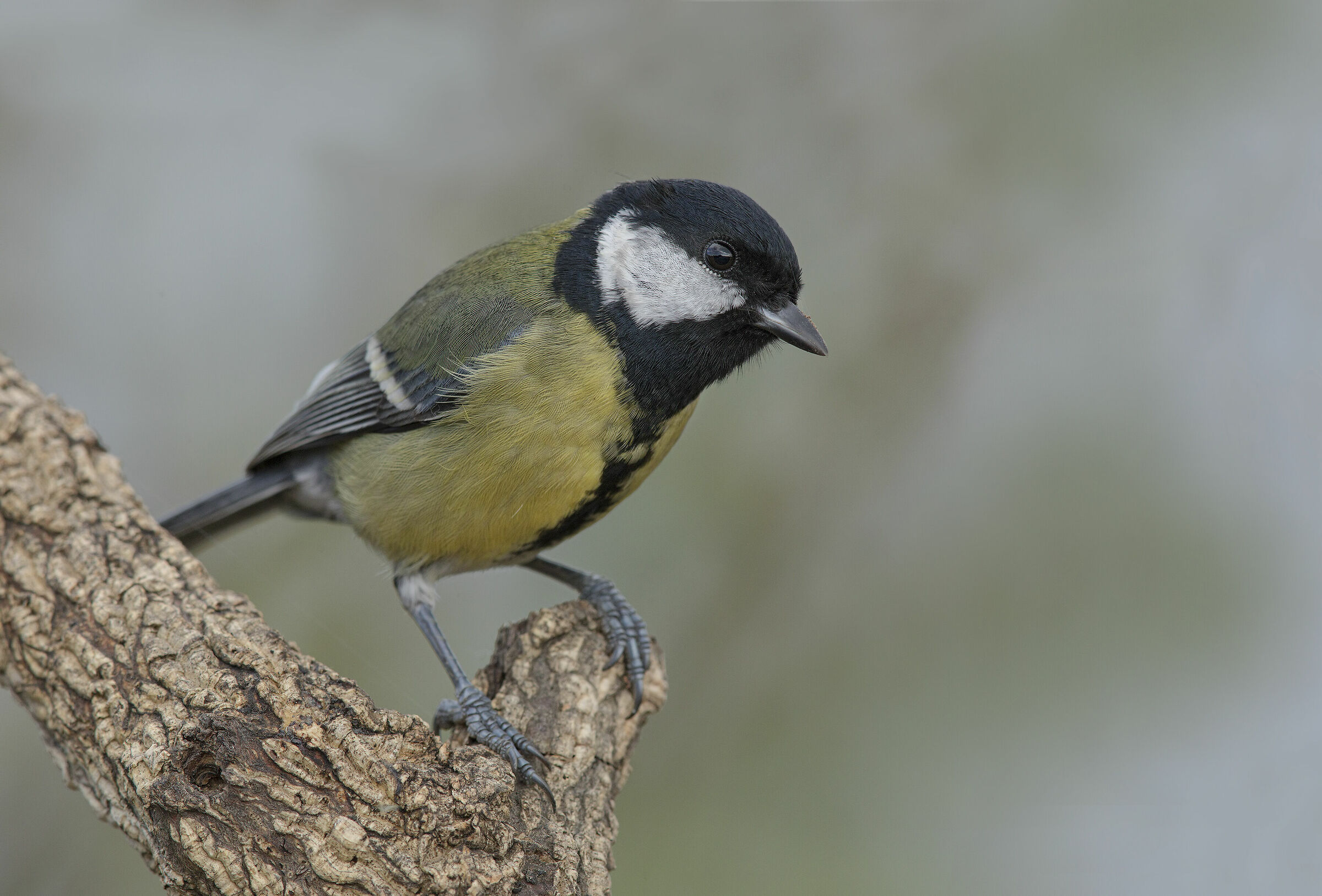 a little wider framing....