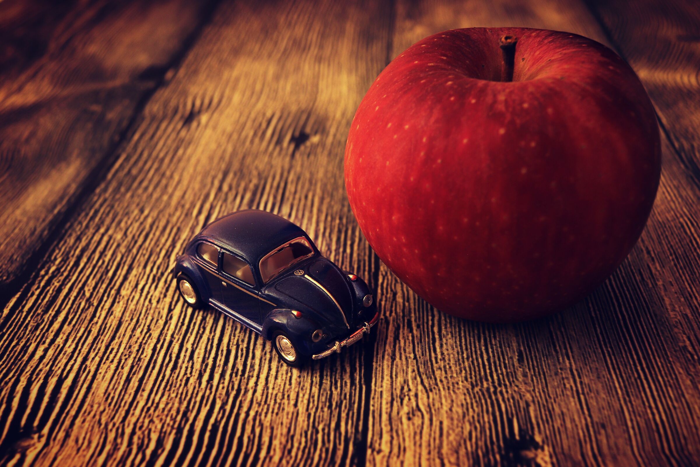 The apple and the beetle