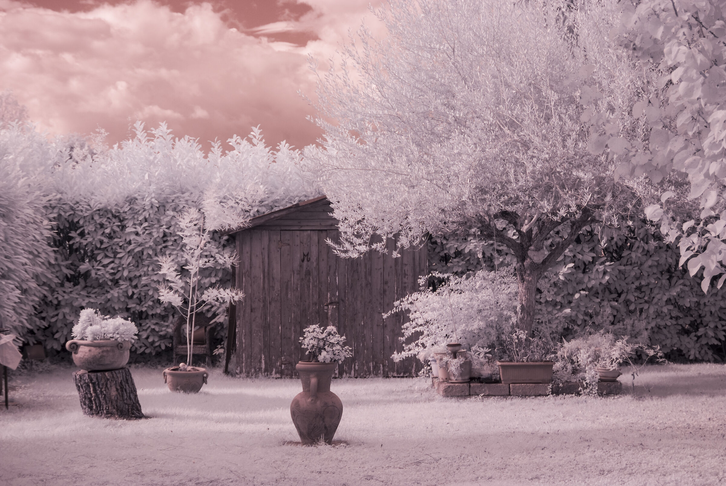 Shed in the garden in the infra....