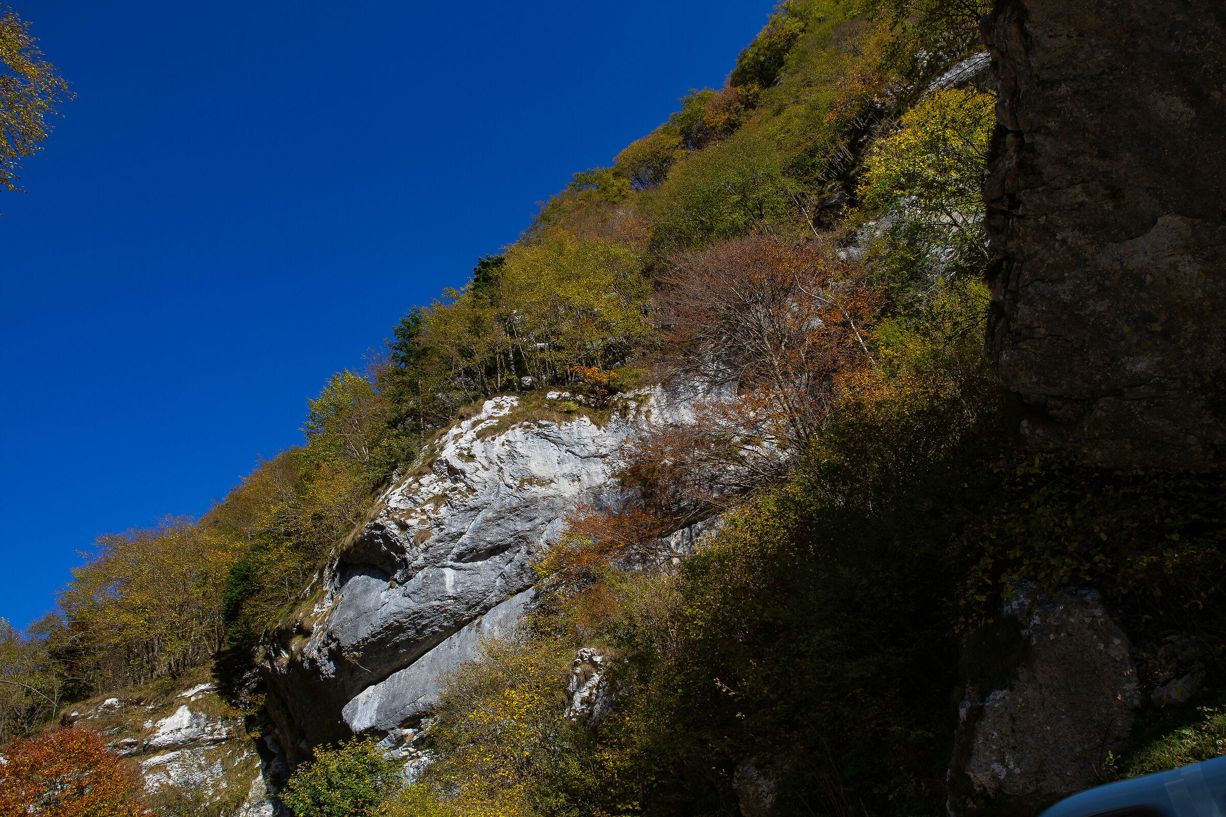 The Colors of Mount Baldo-6