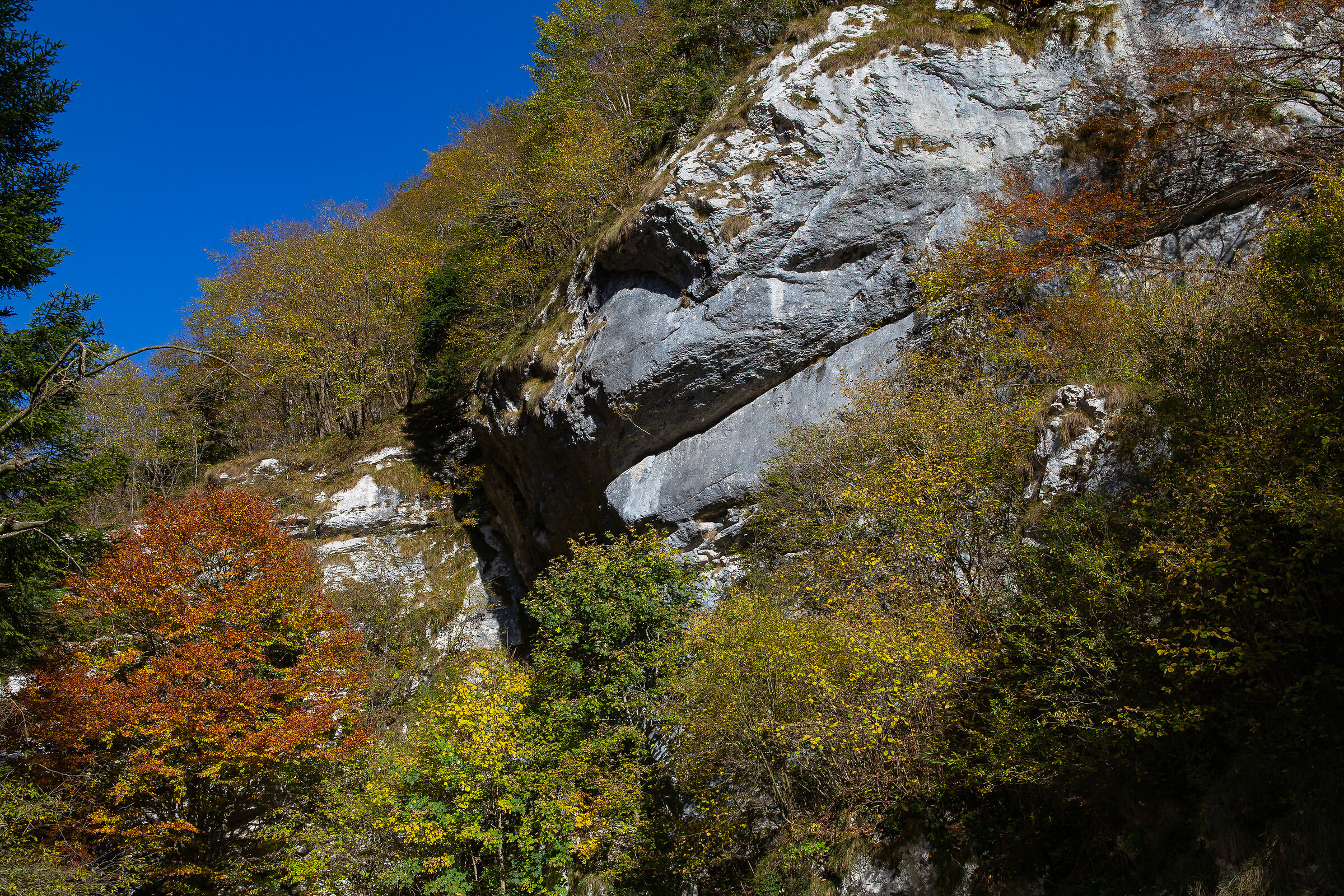The Colors of Mount Baldo-7