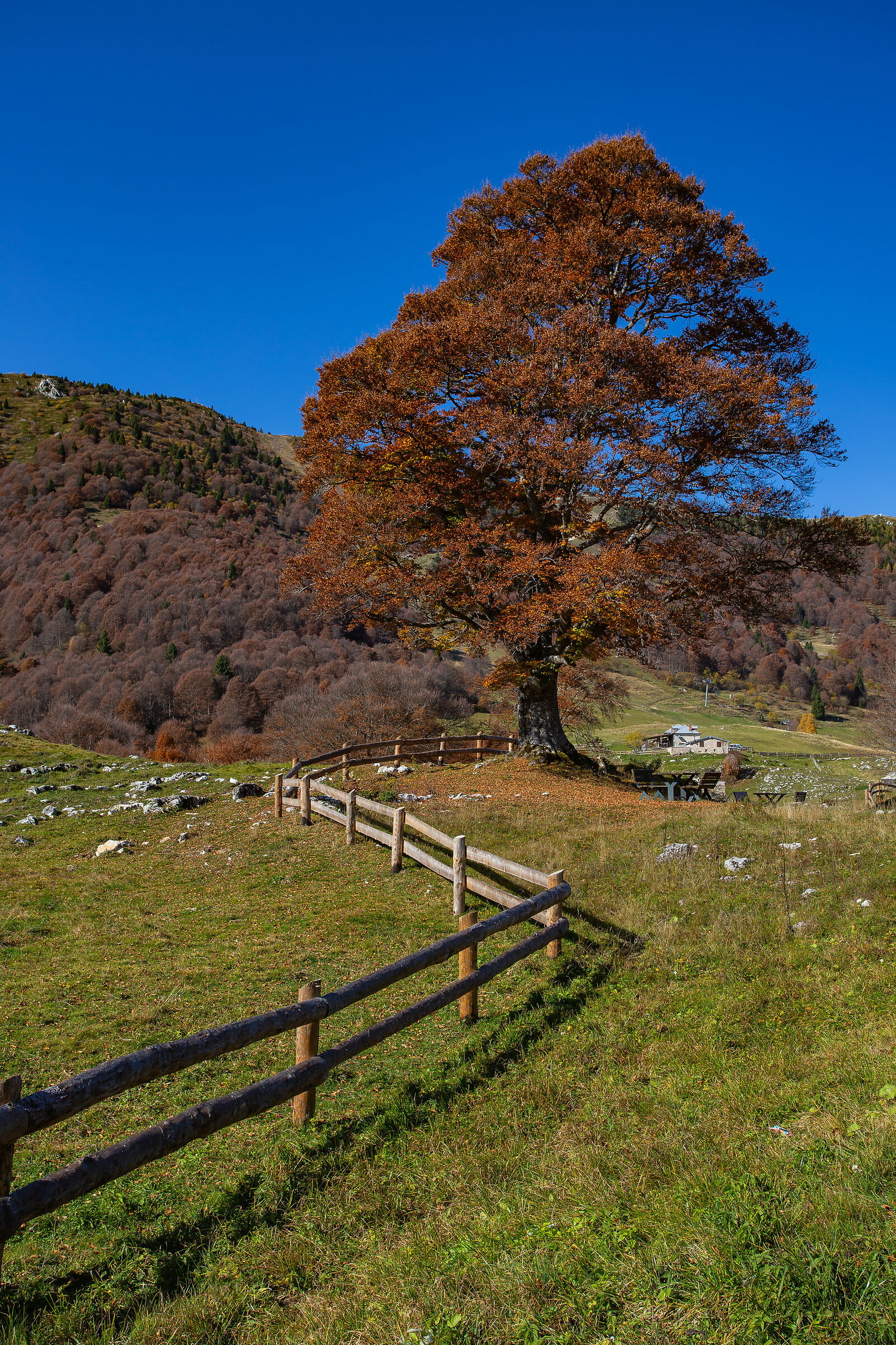 The Colors of Mount Baldo-18