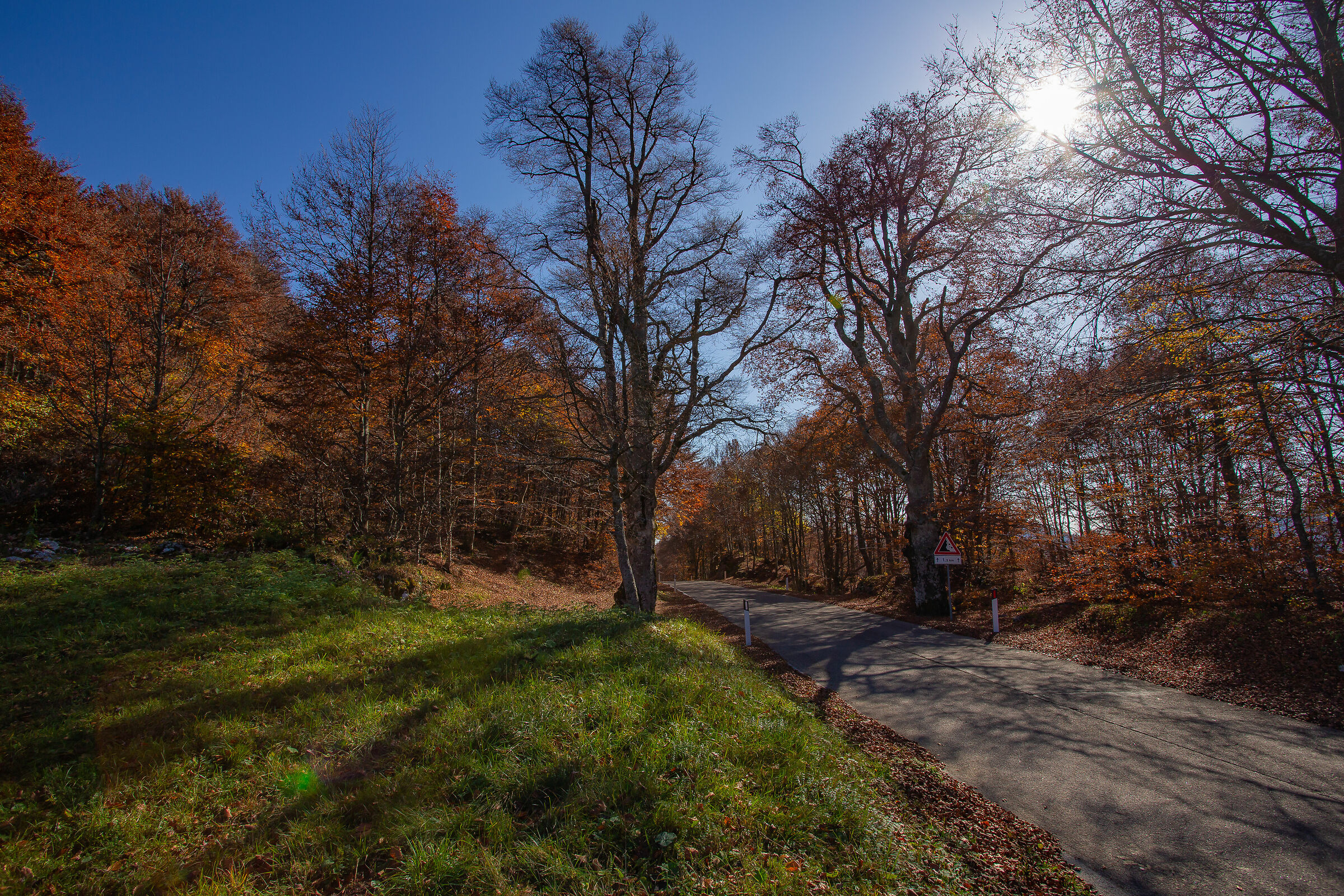 The Colors of Mount Baldo-19