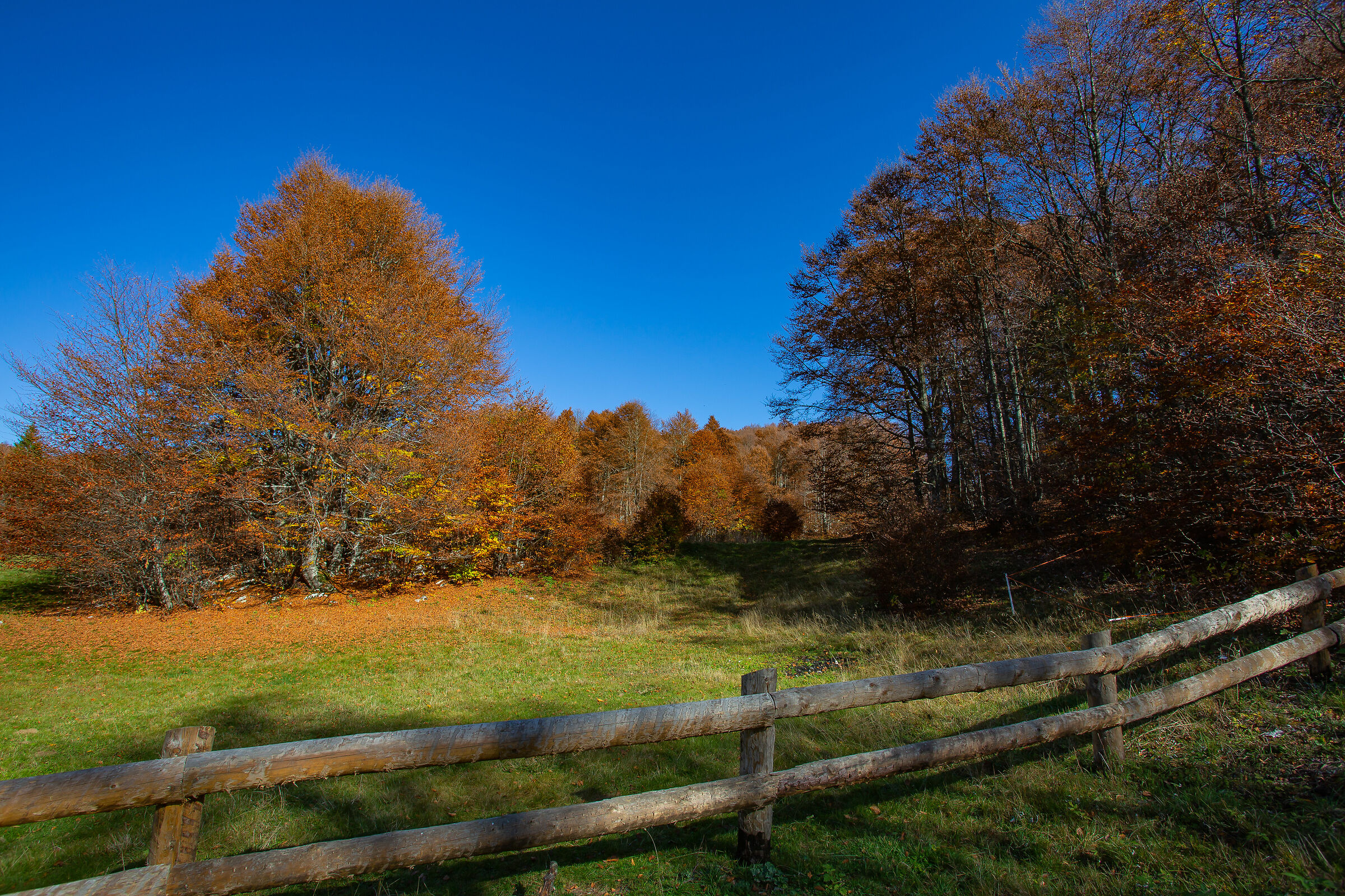 The Colors of Mount Baldo-20