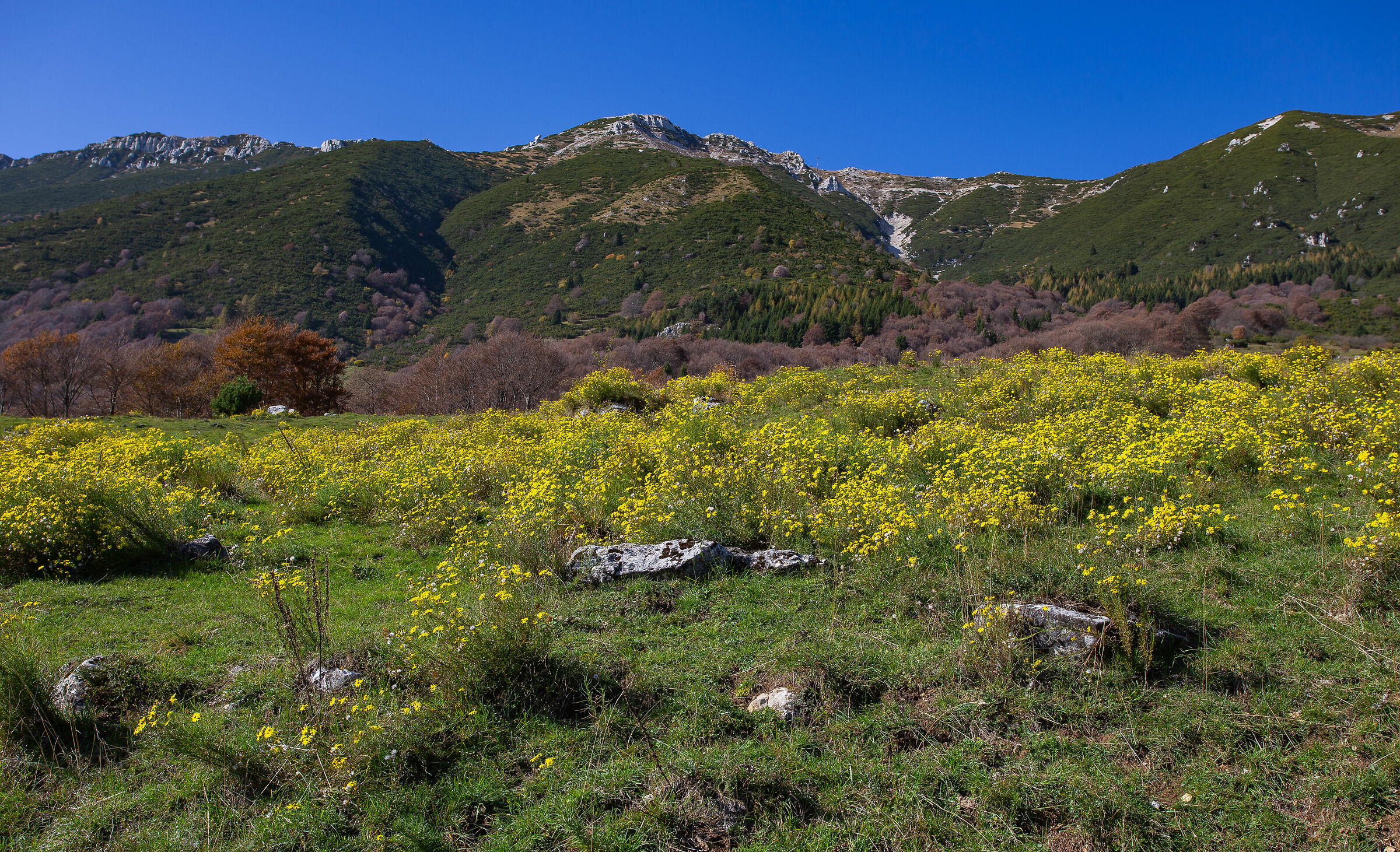 The Colors of Mount Baldo-24