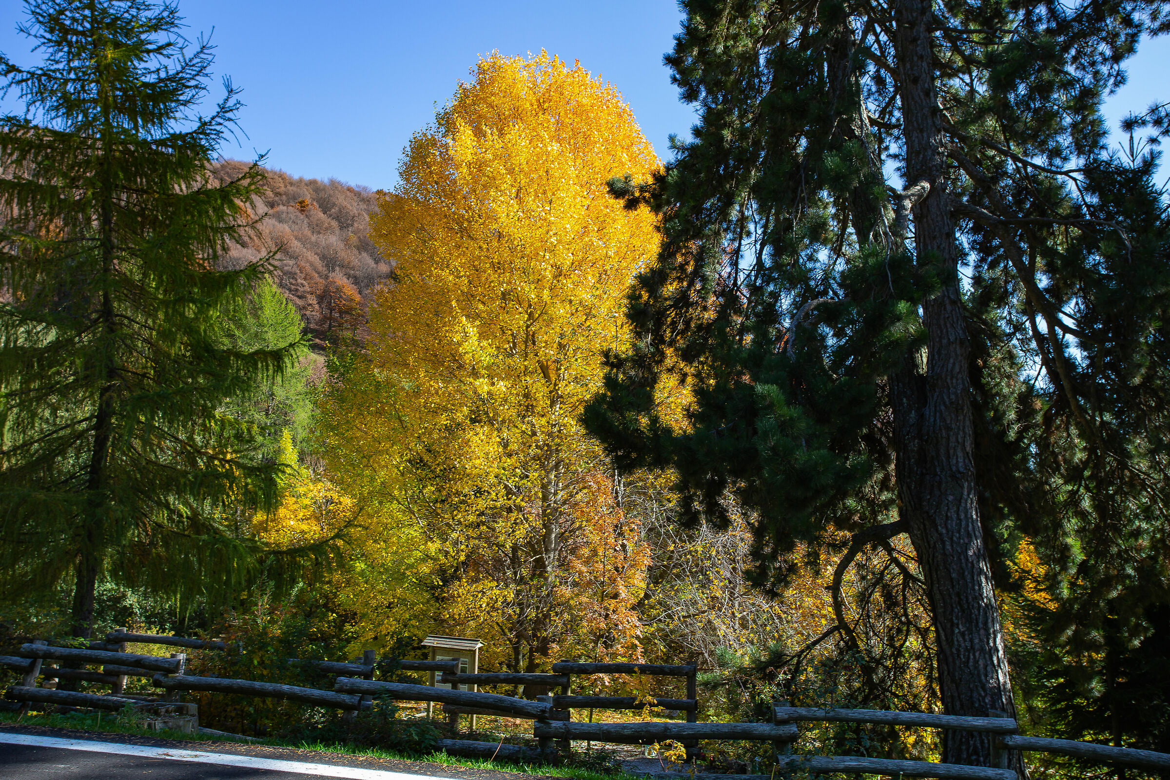 The Colors of Mount Baldo-25