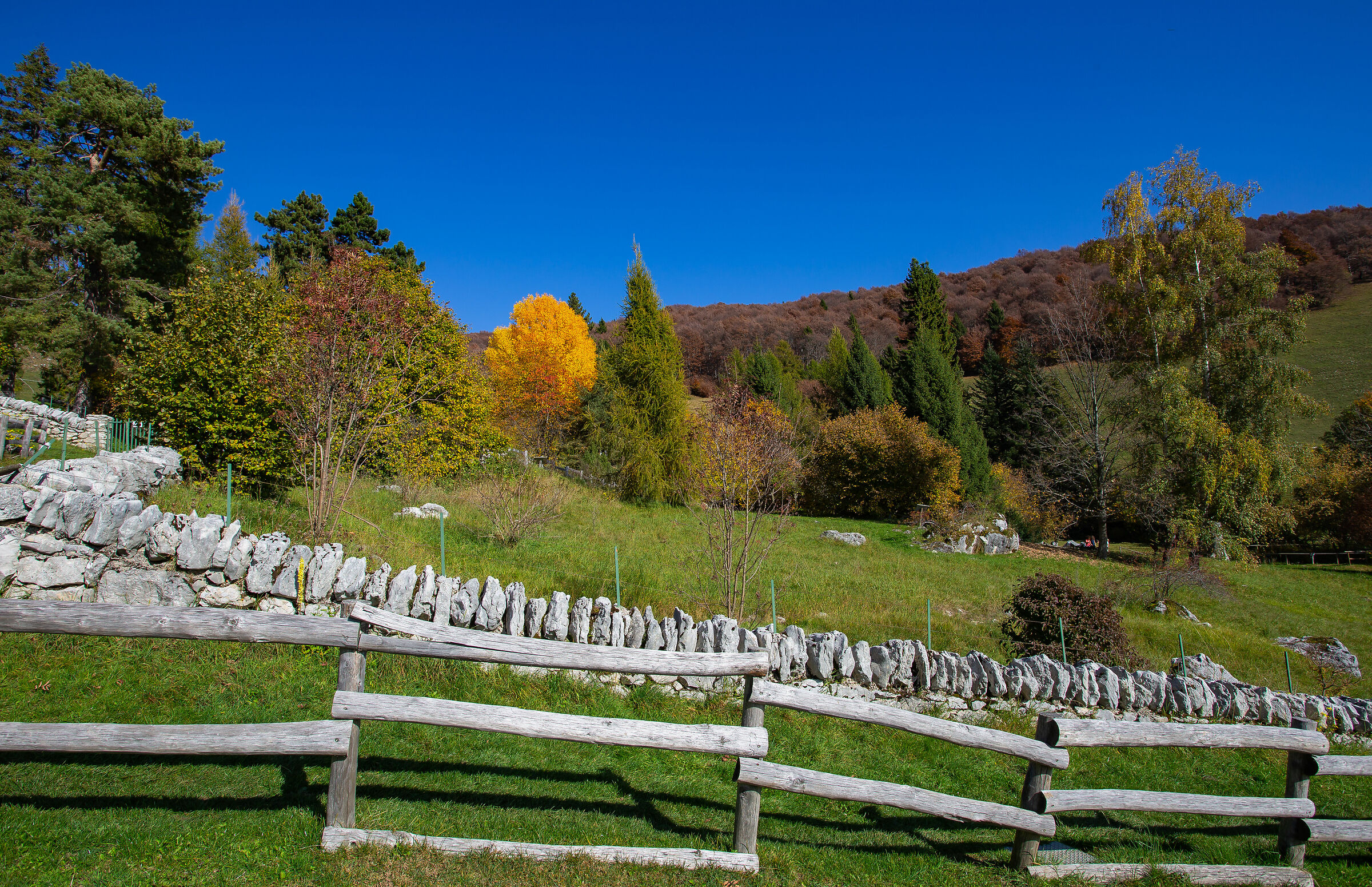 The Colors of Mount Baldo-26
